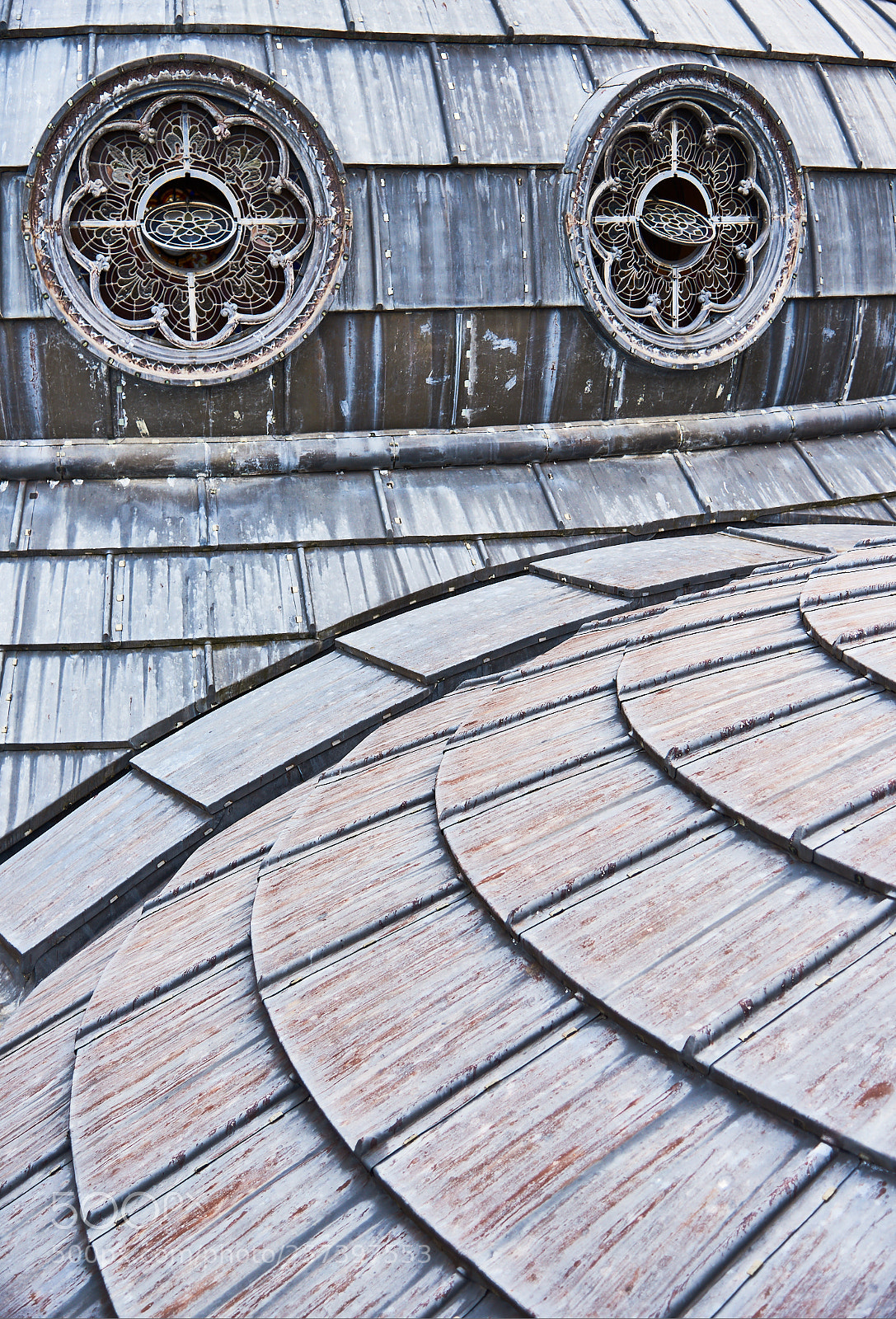 Nikon D750 sample photo. Gobsmacked photography