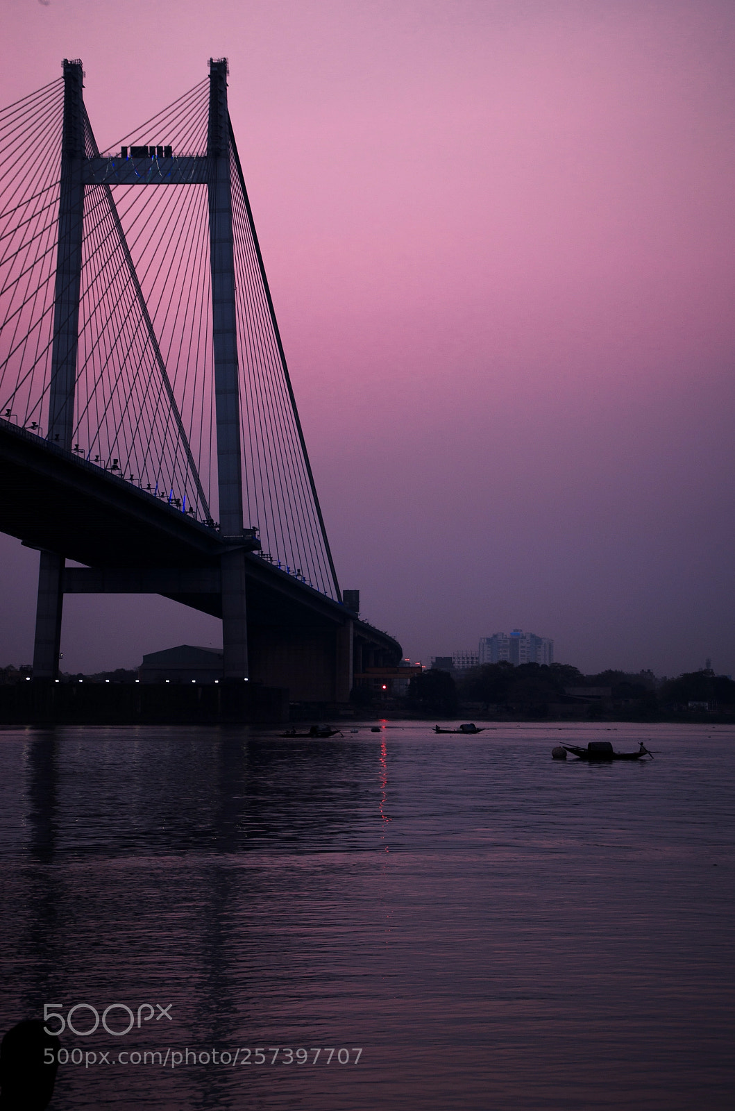 Nikon D5100 sample photo. The lilac beauty behold photography