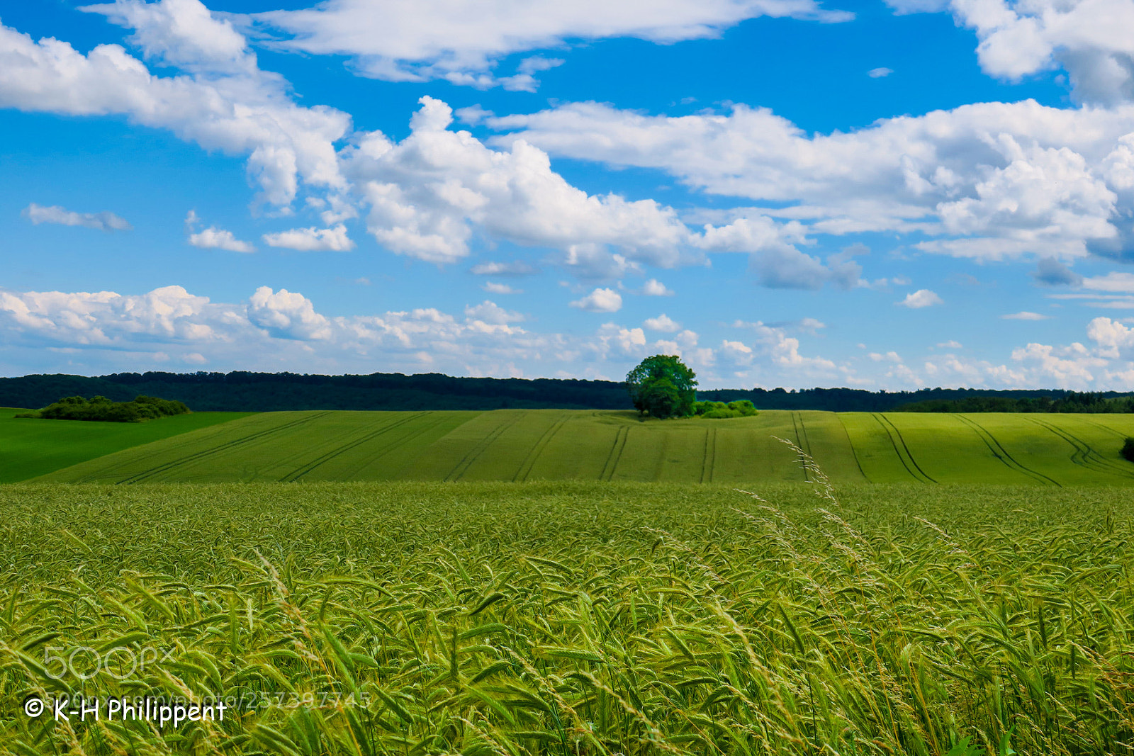 Canon PowerShot G3 X sample photo. Nordhessen germany , summer photography
