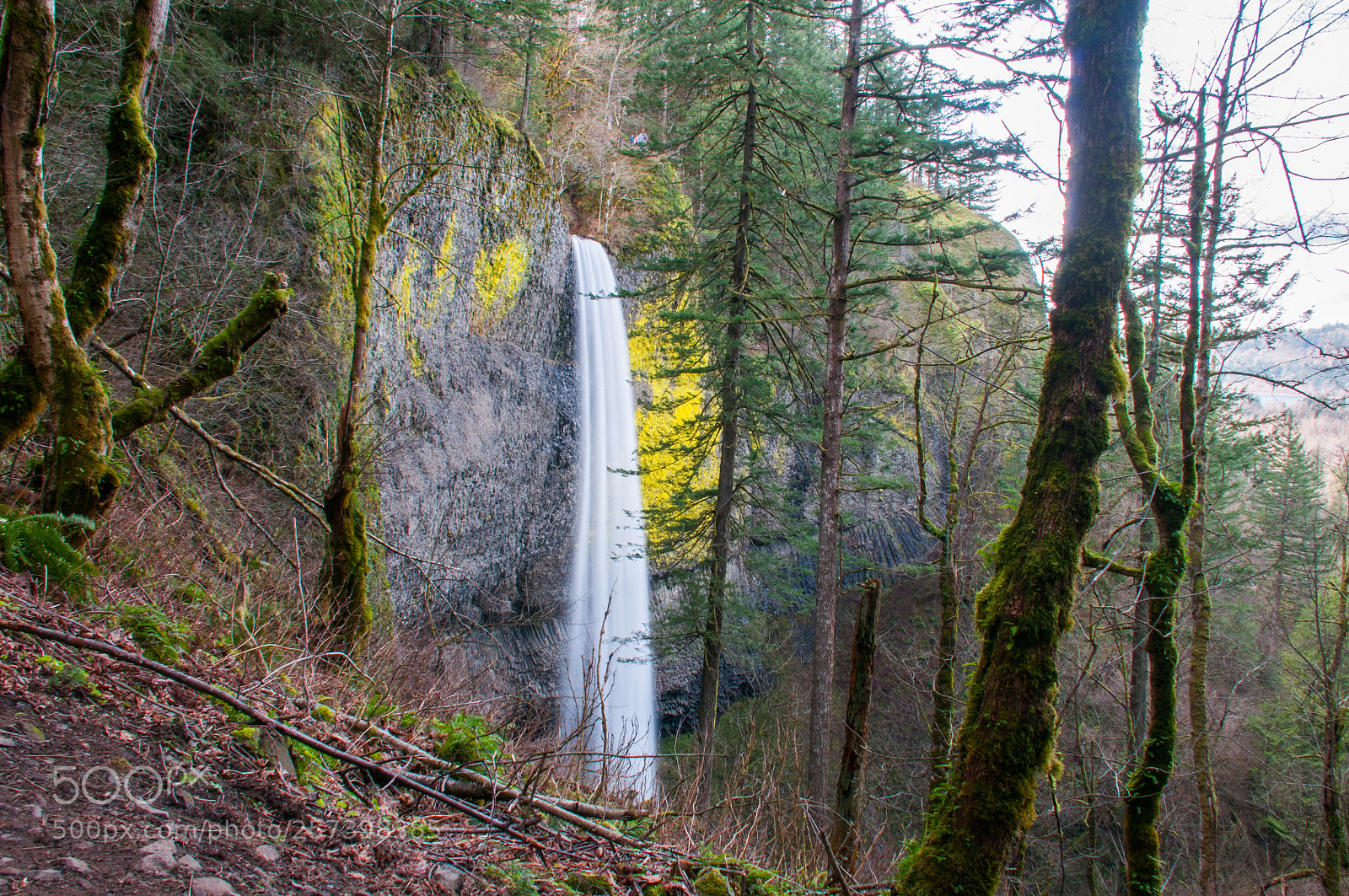 Nikon D300 sample photo. Latourelle falls angelica (of ) photography