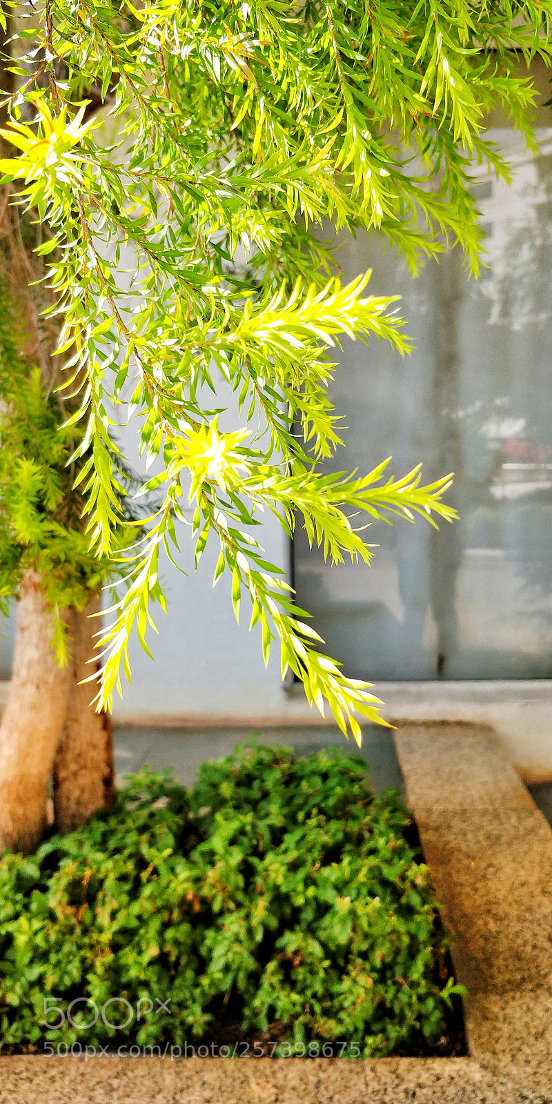 OnePlus 5T sample photo. Green bay photography
