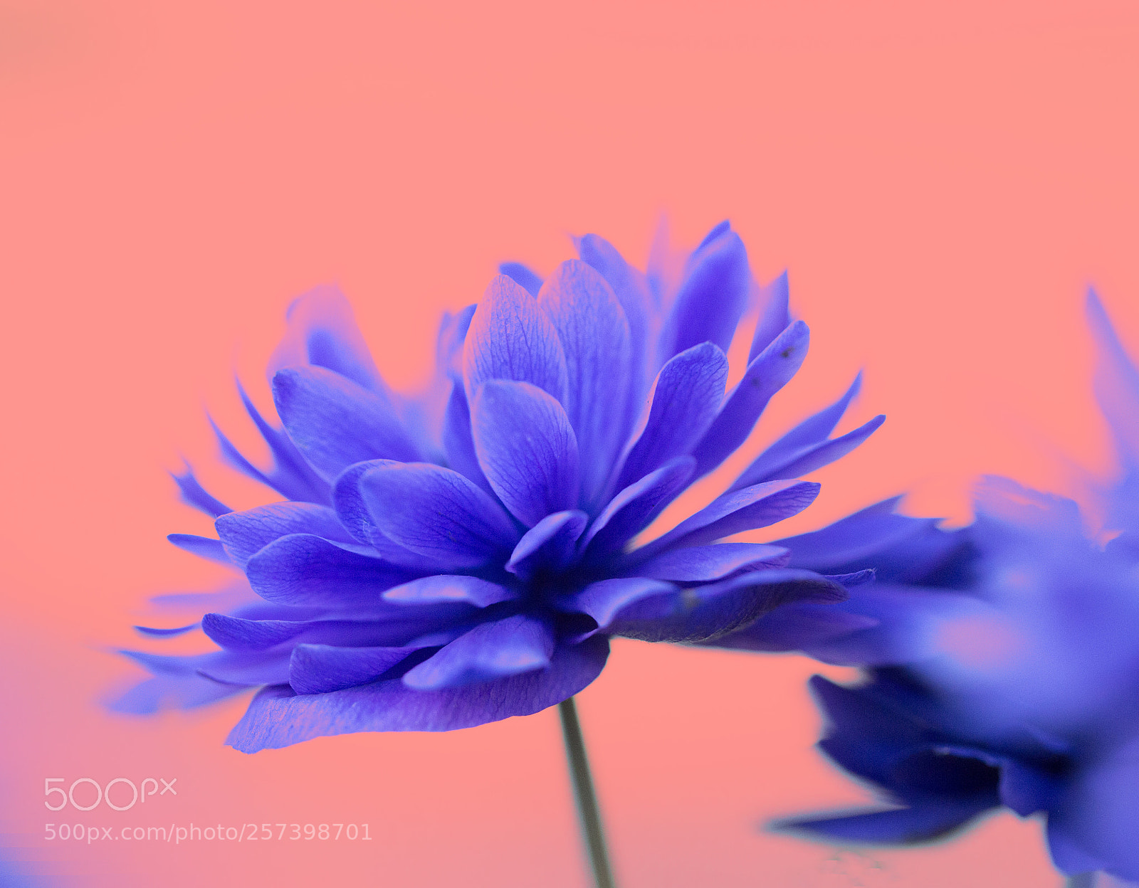 Canon EOS 6D sample photo. Untitled photography