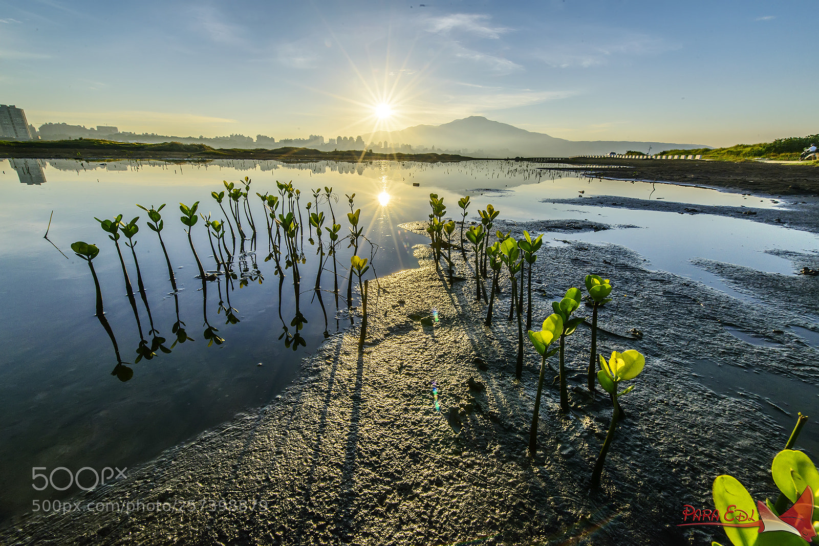 Nikon D800E sample photo. Wa-zai-wei photography