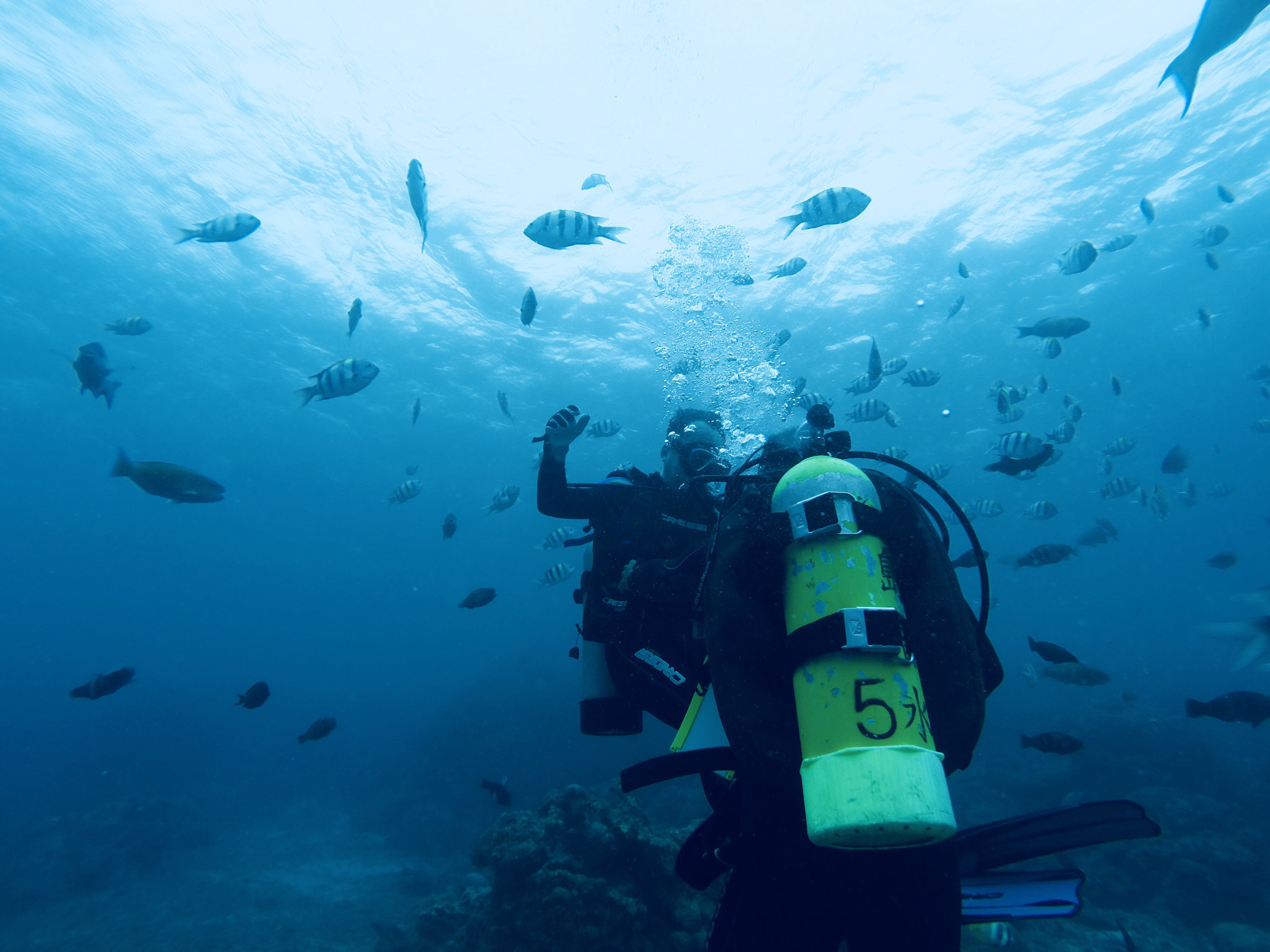 GoPro HERO3+ Black Edition sample photo. In the deep blue  photography