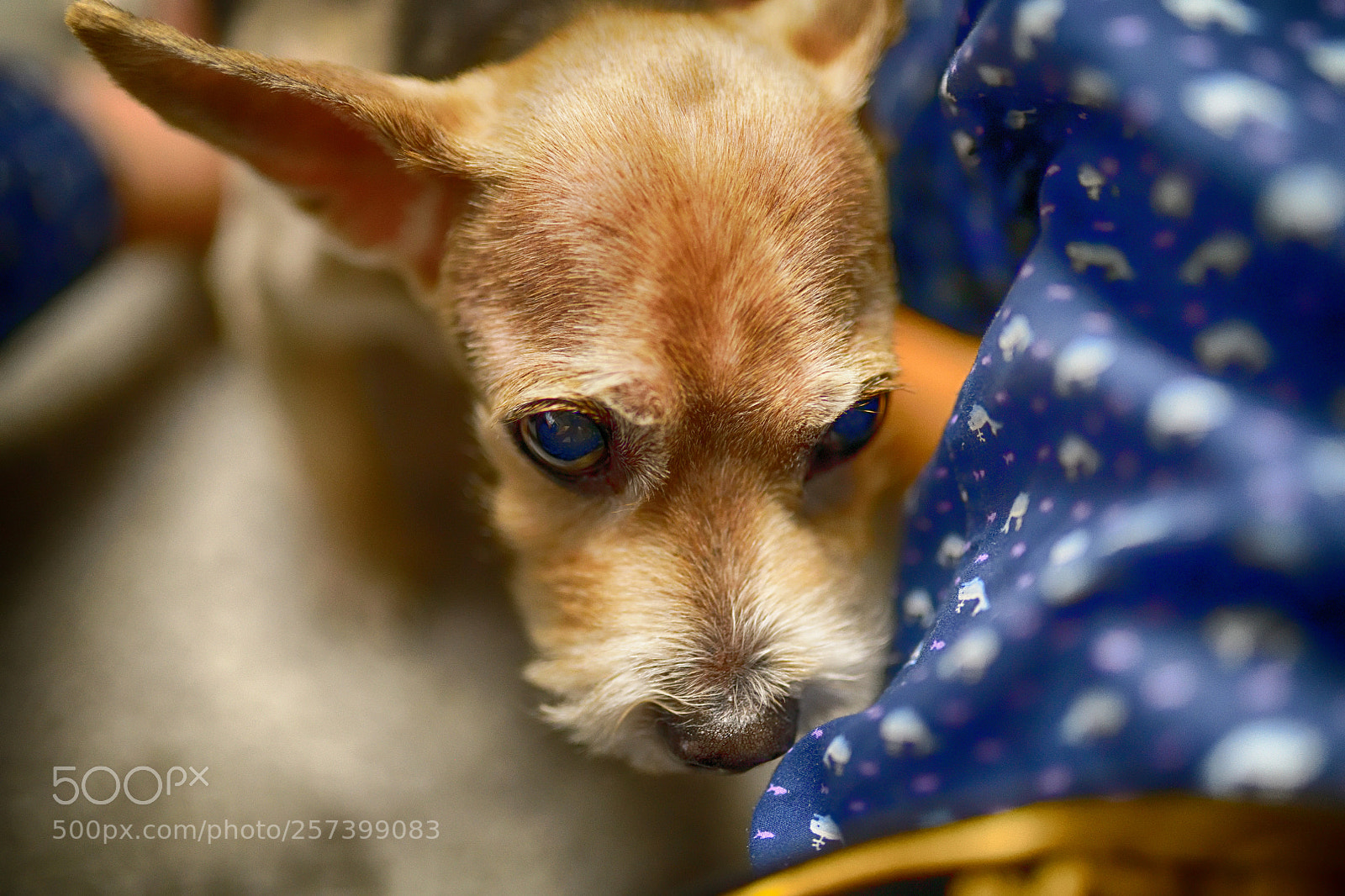 Nikon D850 sample photo. 850_1127_00001.jpg photography