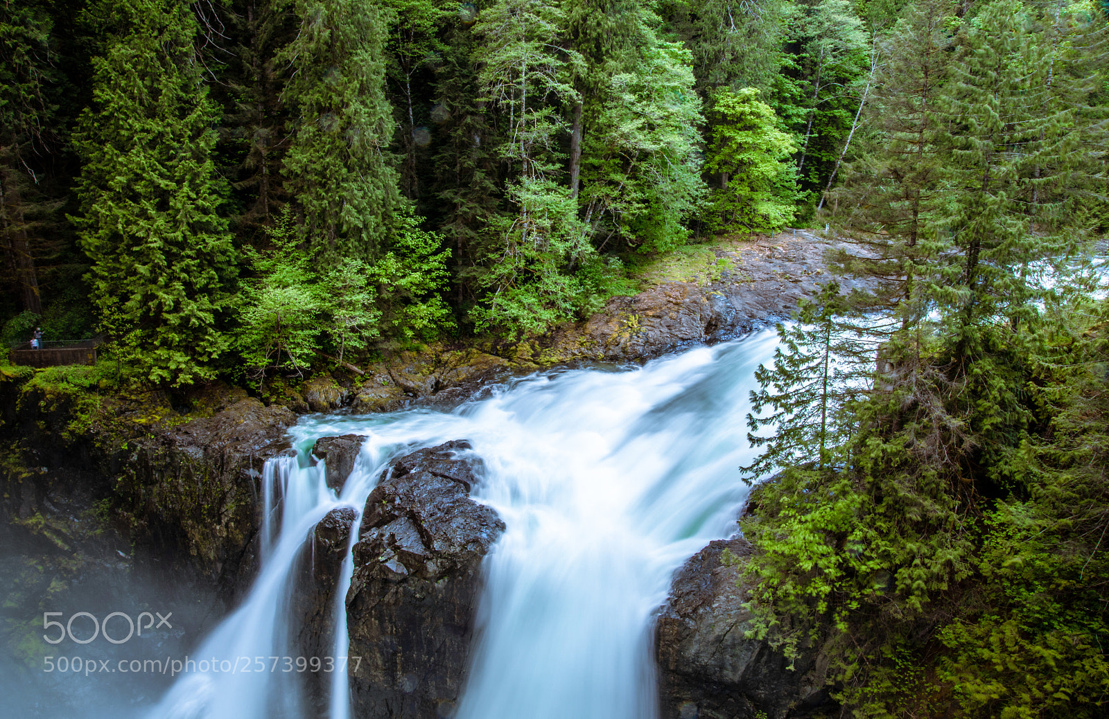 Canon EOS 5D Mark IV sample photo. Elk falls,  campbell river  photography