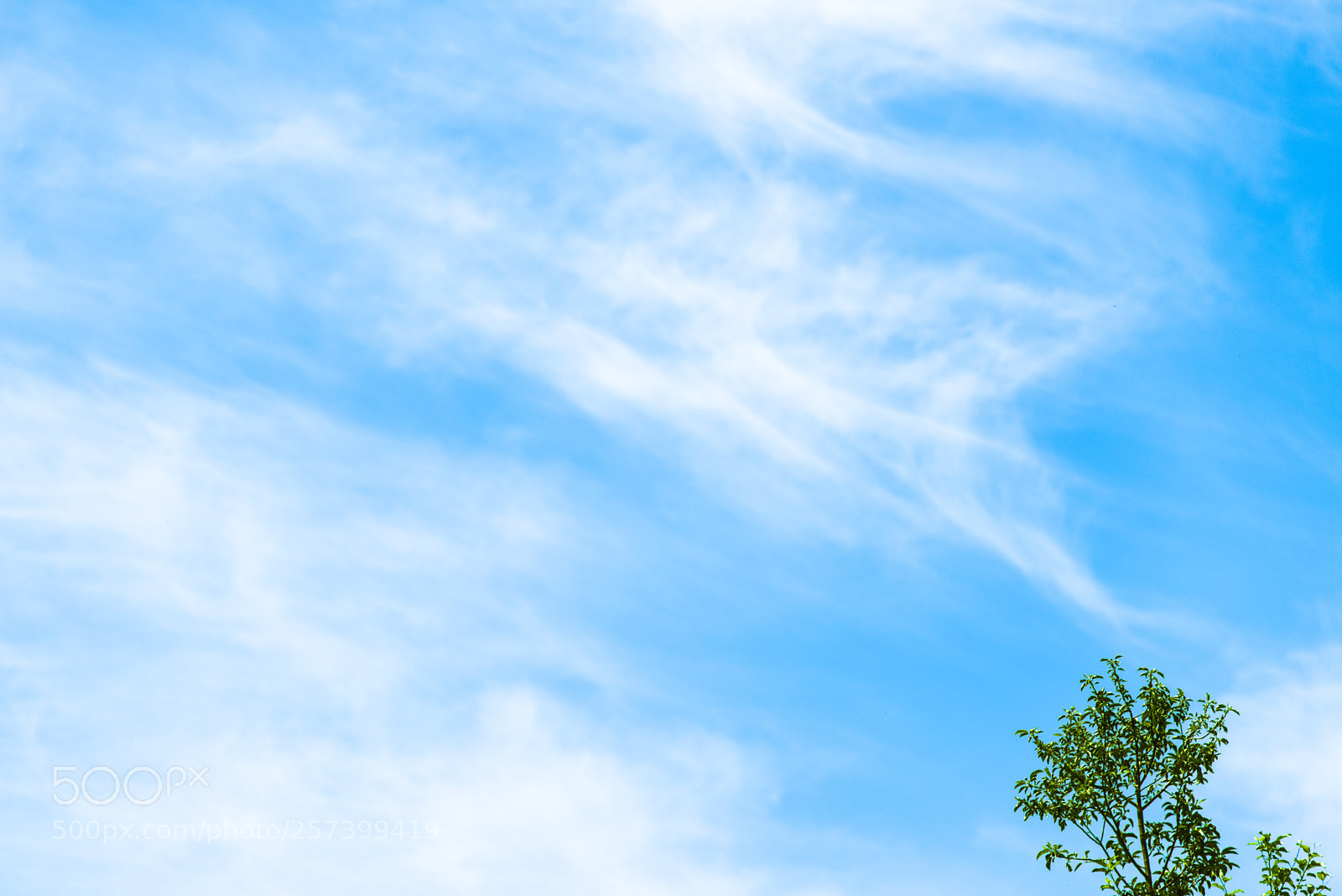 Nikon D810 sample photo. In a town   no.20 photography