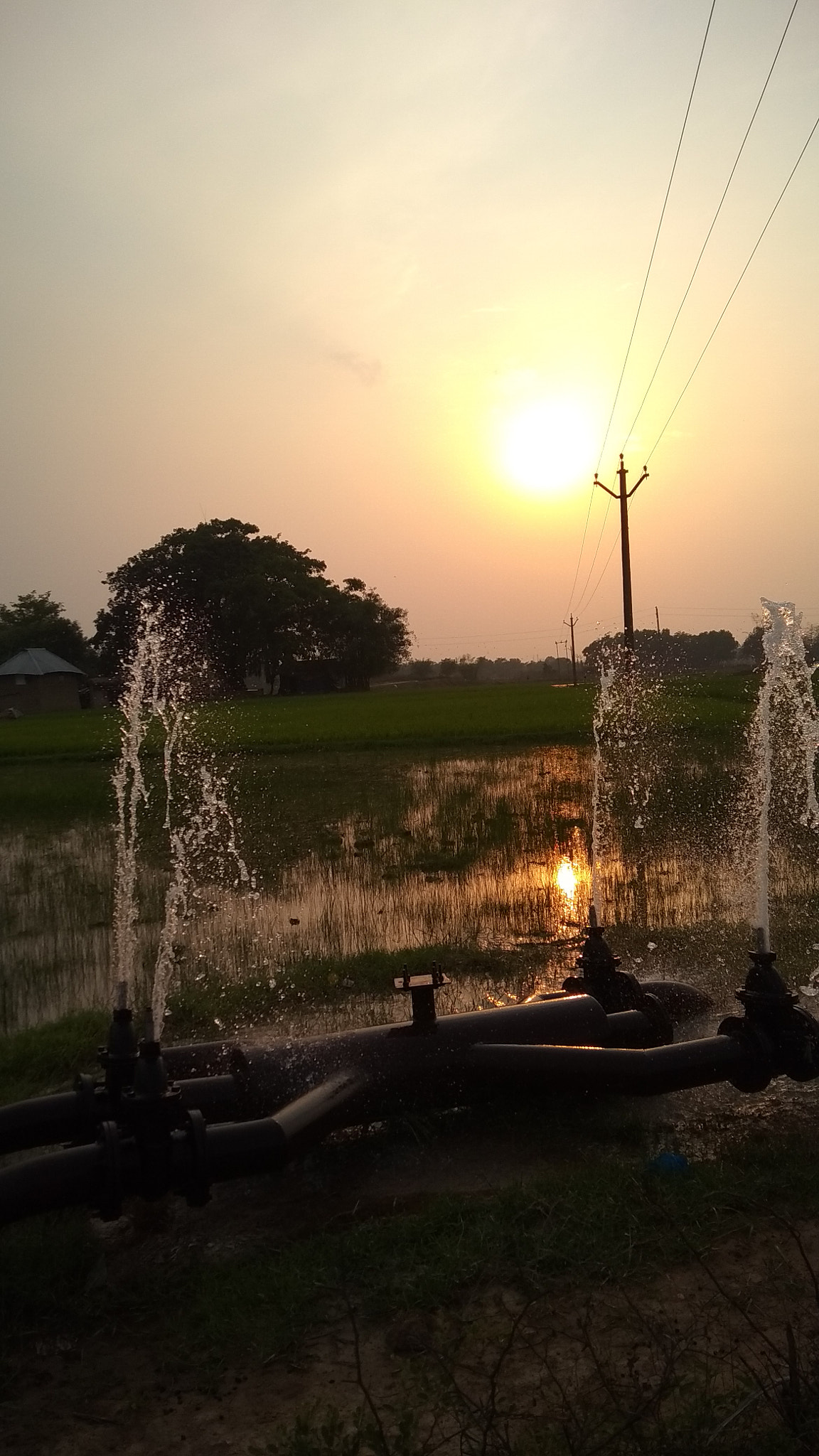 Xiaomi Redmi Note 5A sample photo