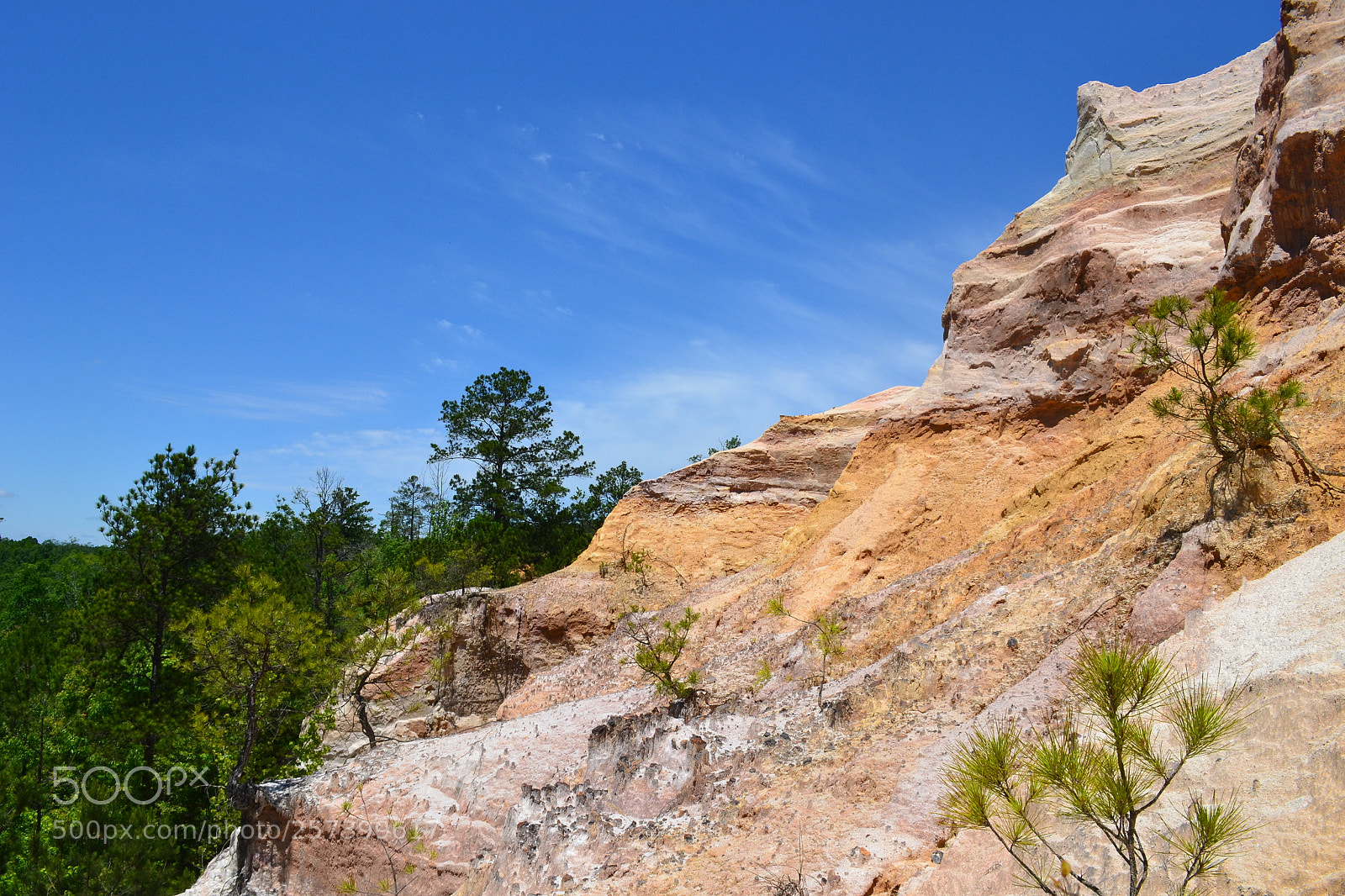Nikon D3100 sample photo. Clear head clear skies photography