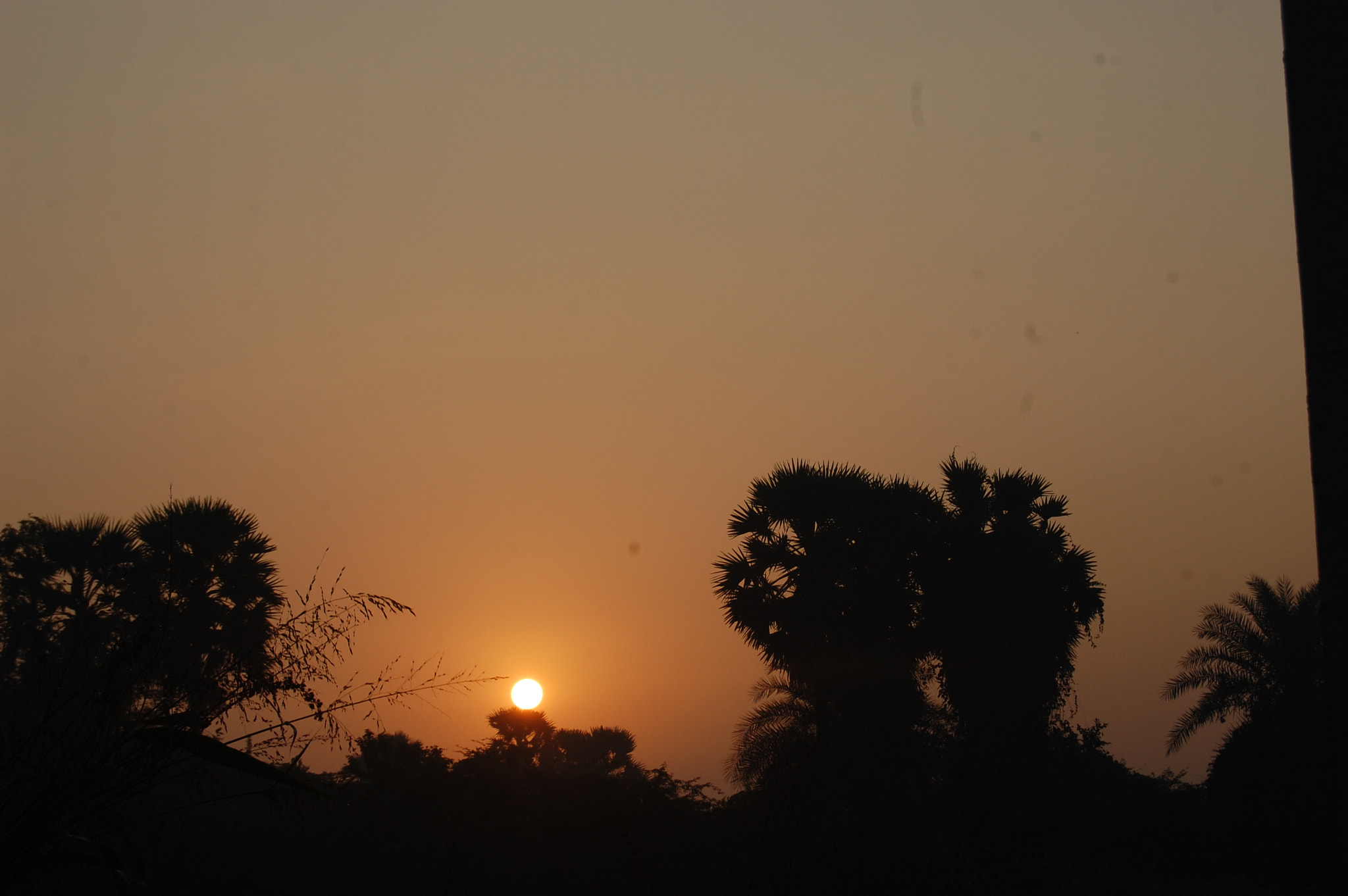 Nikon D40 sample photo. Early morning sunlight click photography