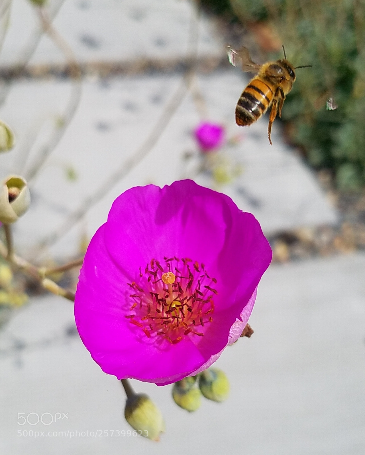 Samsung Galaxy S7 Edge sample photo. Untitled photography