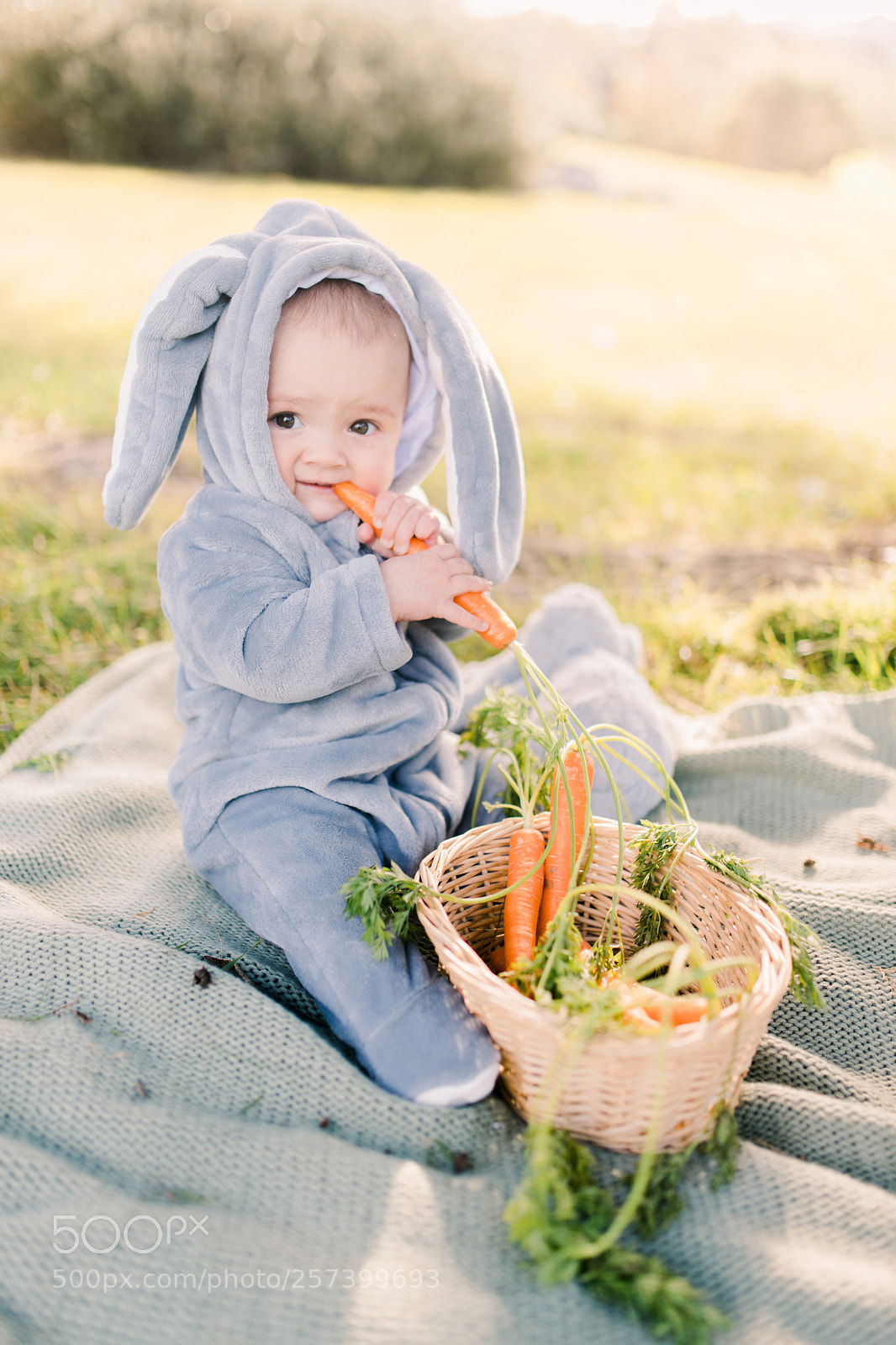 Canon EOS 6D Mark II sample photo. Little bunny photography
