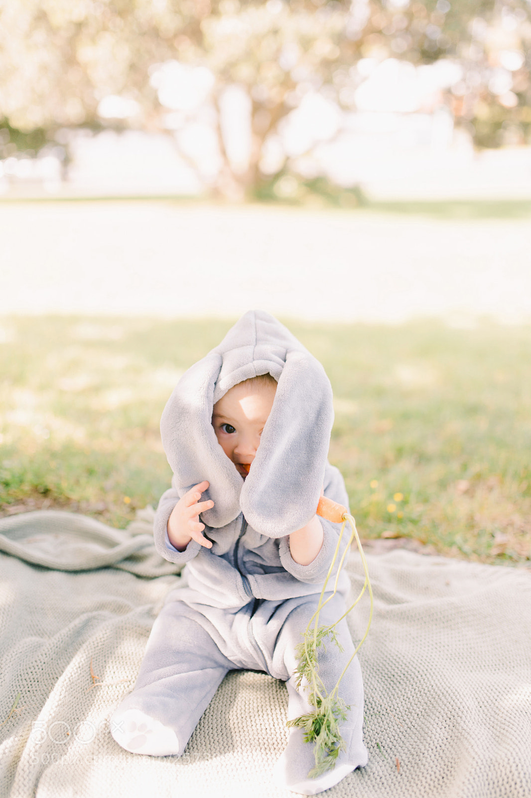 Canon EOS 6D Mark II sample photo. Little bunny photography