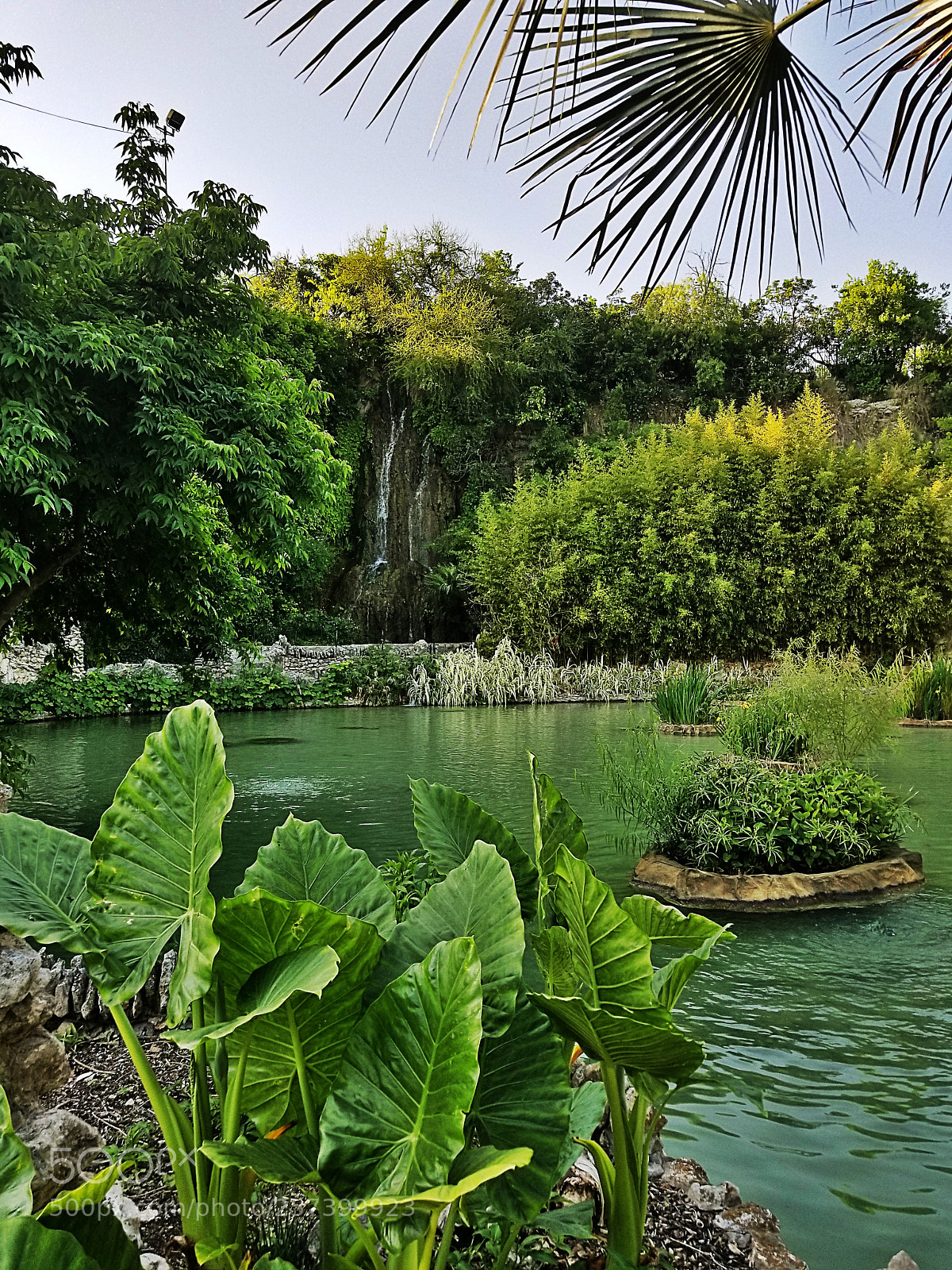 Samsung Galaxy S8+ sample photo. Untitled photography
