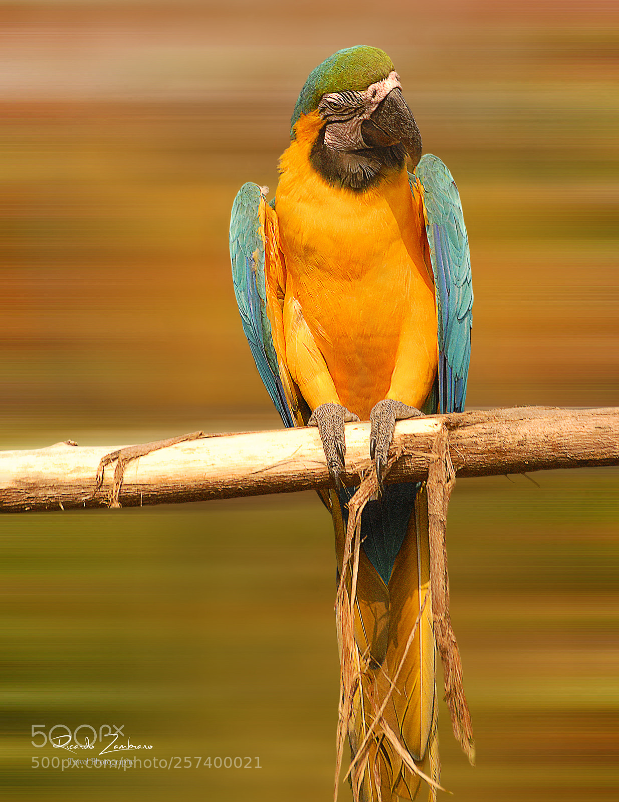 Nikon D200 sample photo. Binstagramhr photography