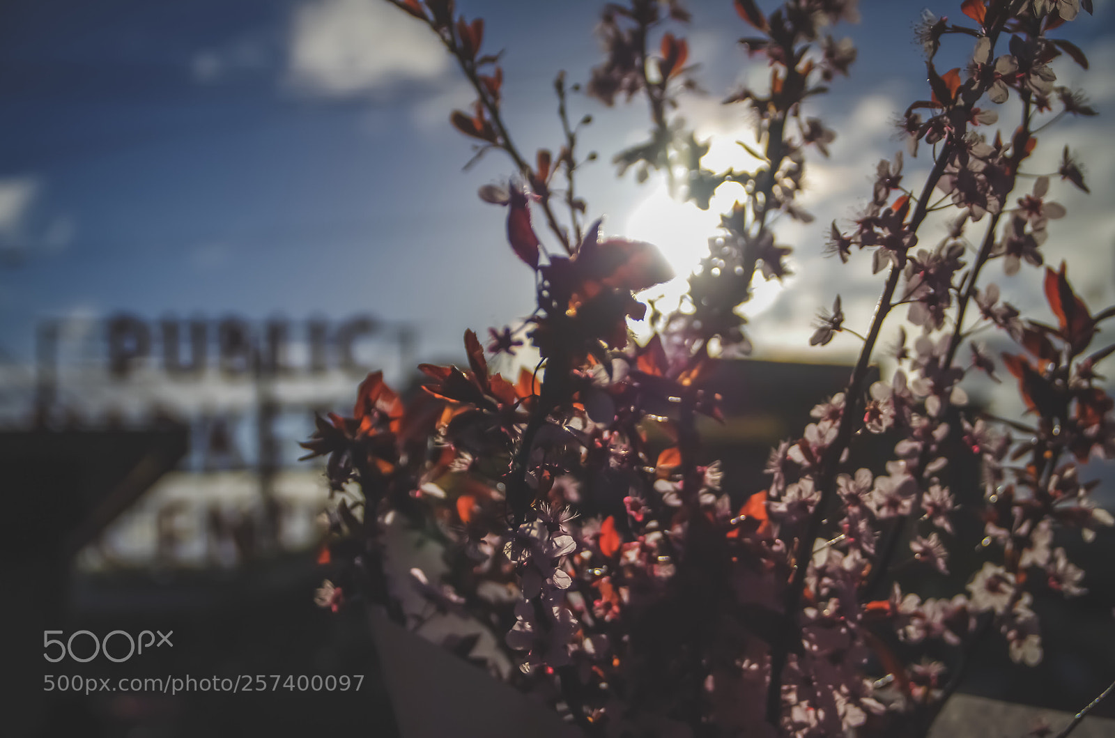 Pentax K-30 sample photo. Untitled photography
