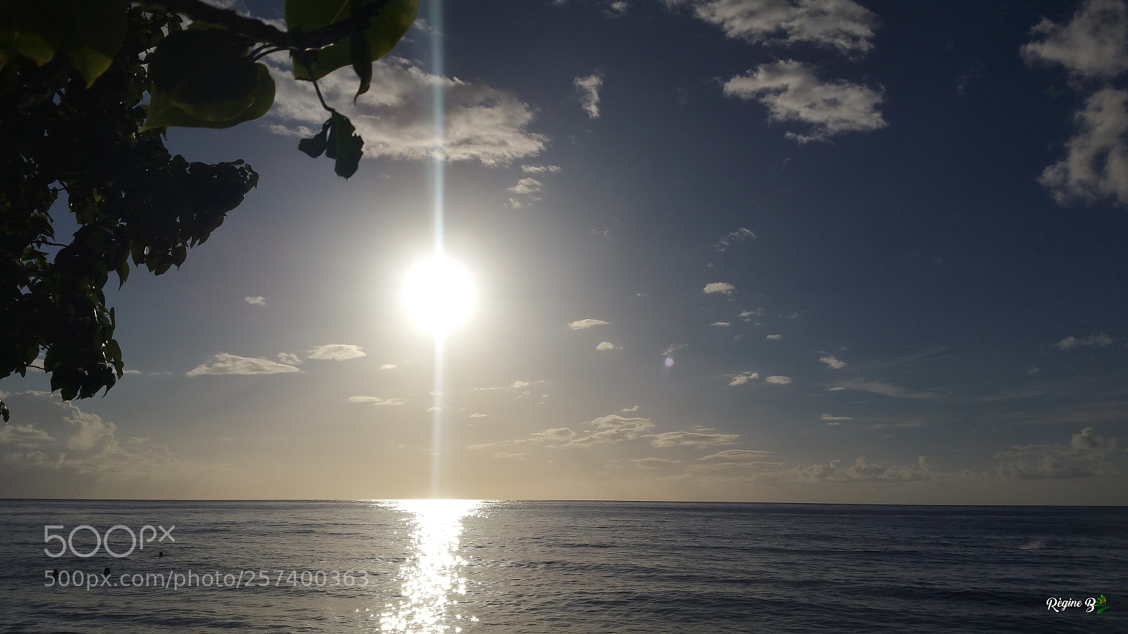 Samsung Galaxy Note4 sample photo. From the sun to photography