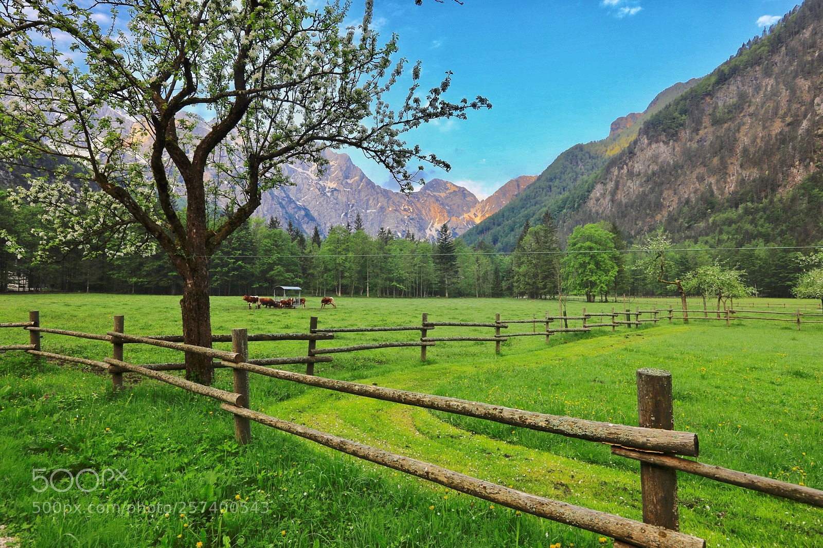 Canon EOS 5D Mark IV sample photo. Untitled photography