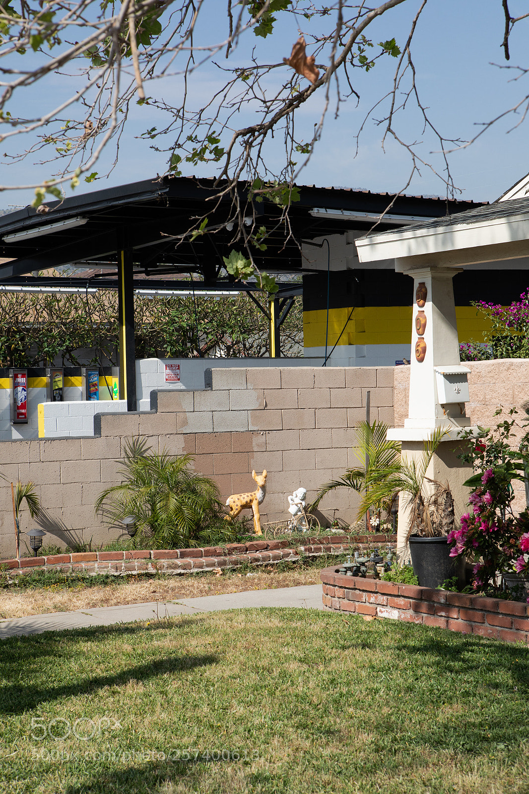 Canon EOS 5D Mark IV sample photo. Cement deer front yard photography