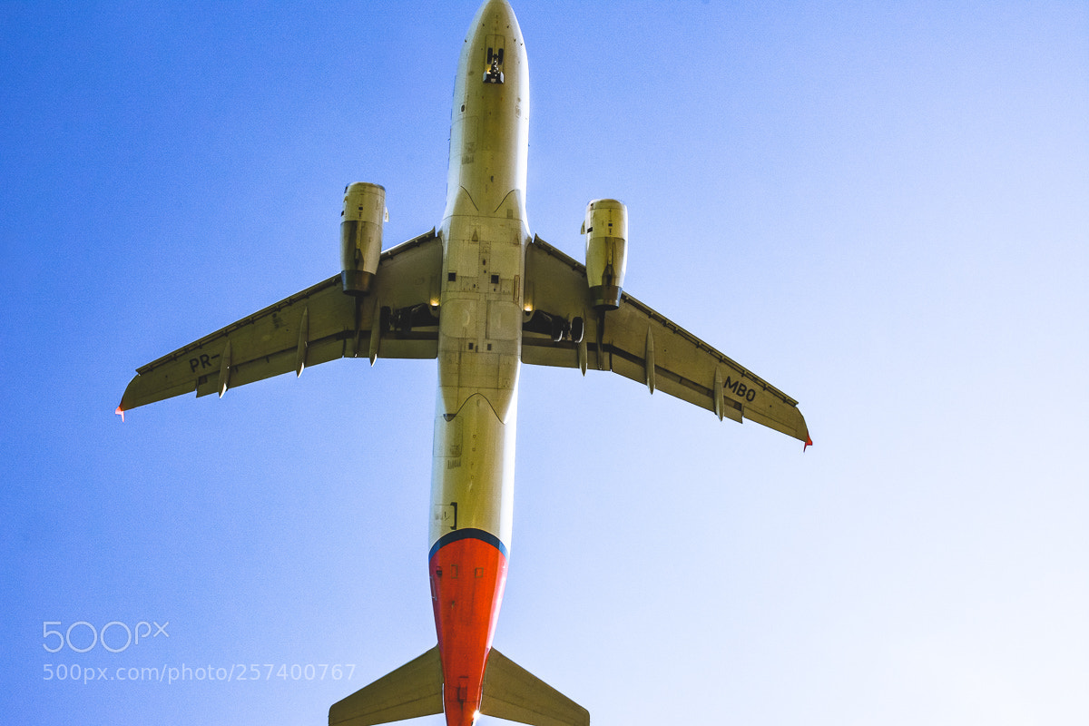 Nikon D7100 sample photo. Dsc photography