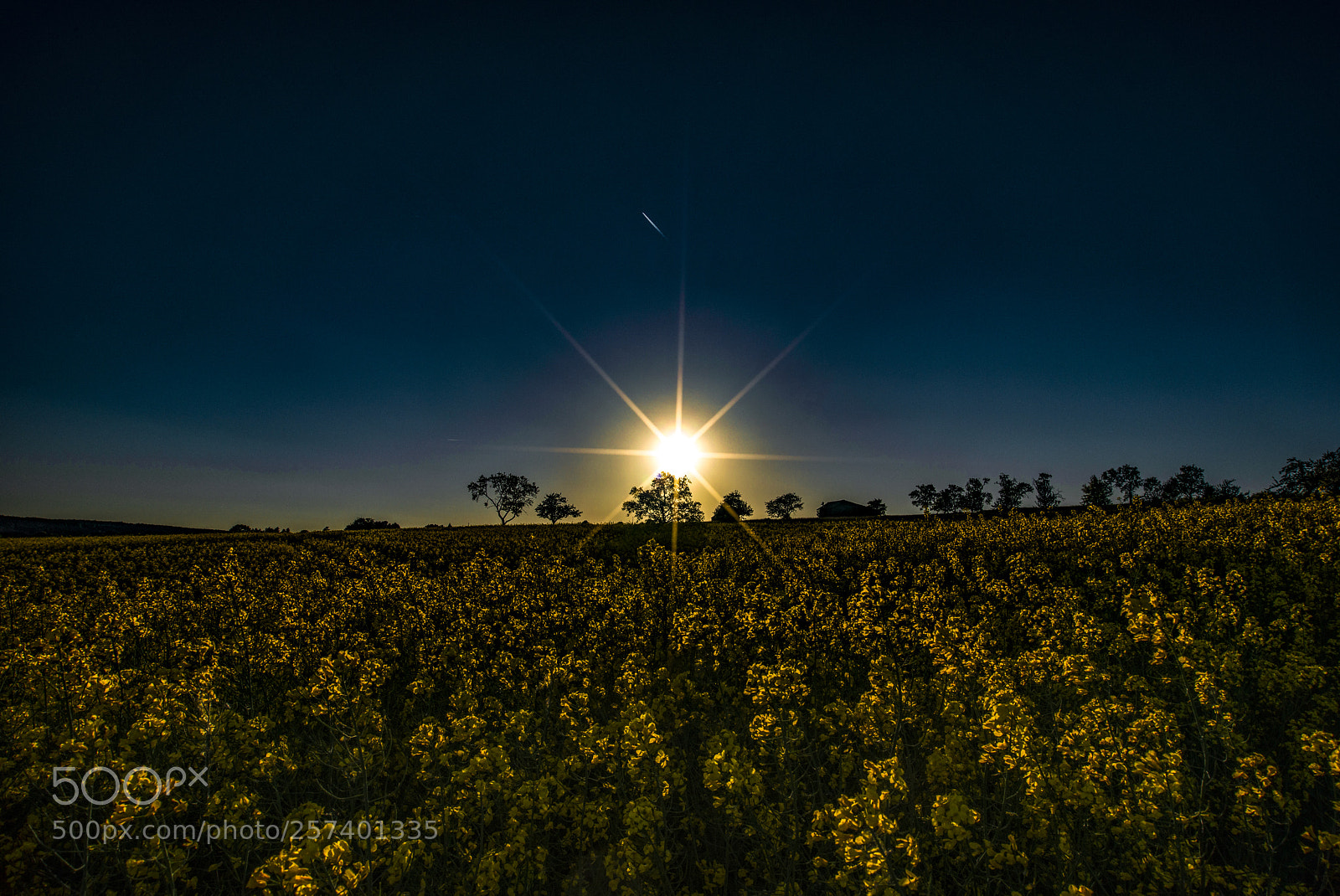 Nikon D800 sample photo. Sunset rape photography
