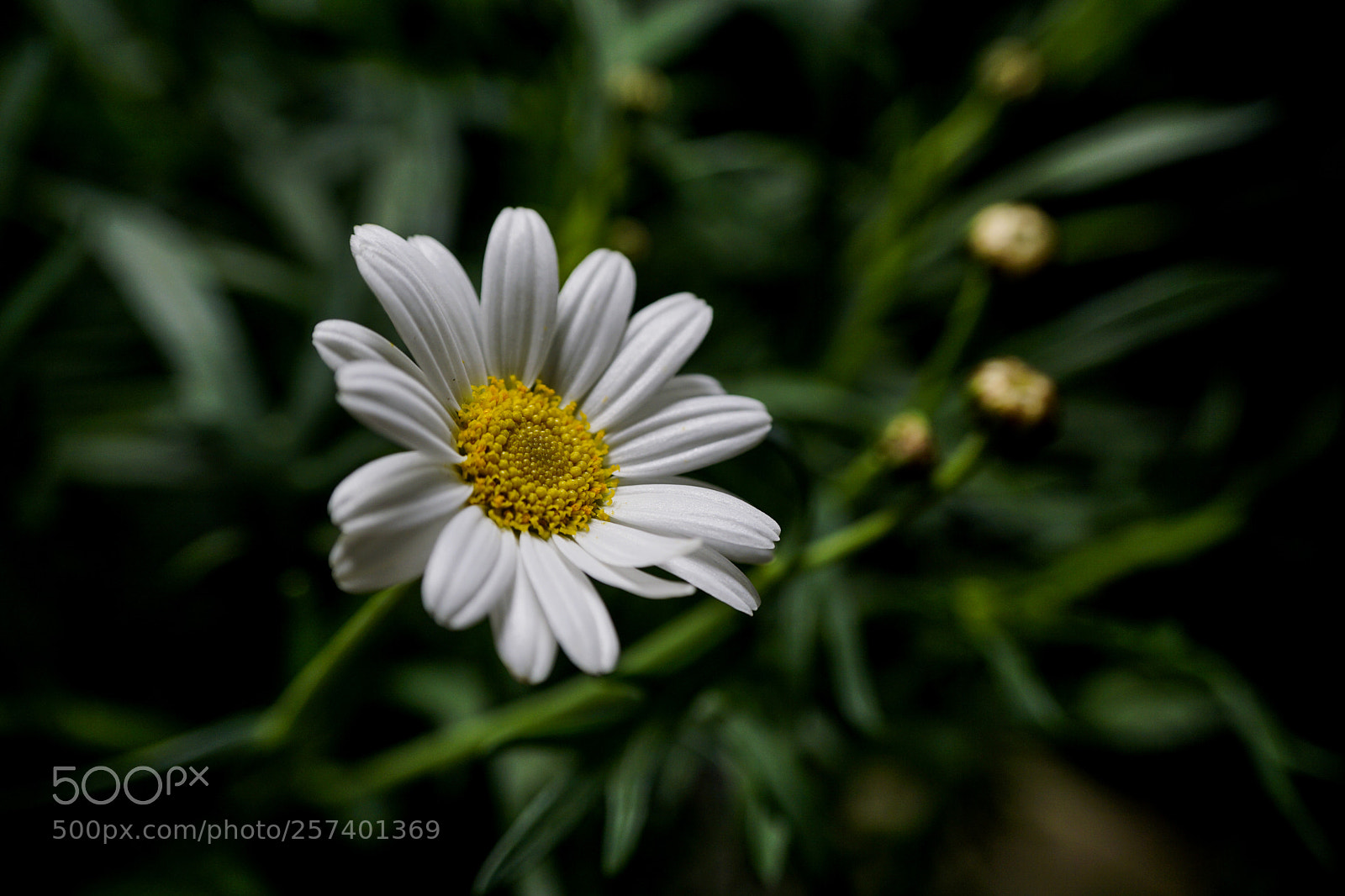 Sony a6000 sample photo. C c h a photography