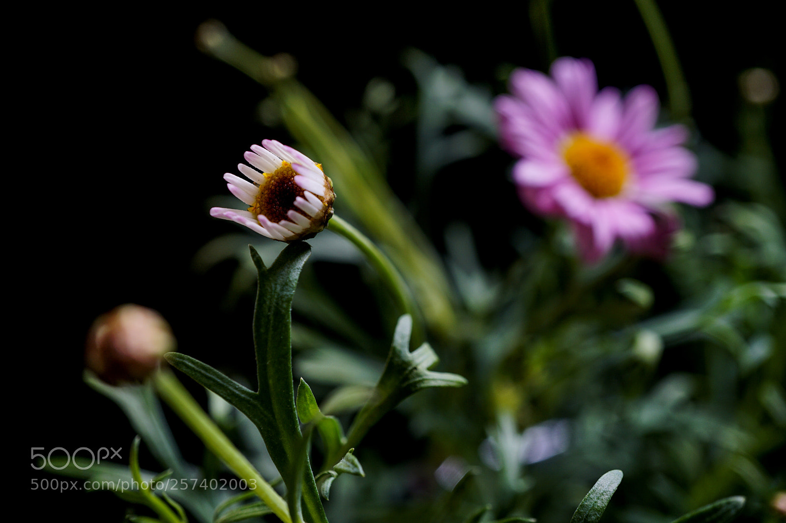 Sony a6000 sample photo. C c h a photography
