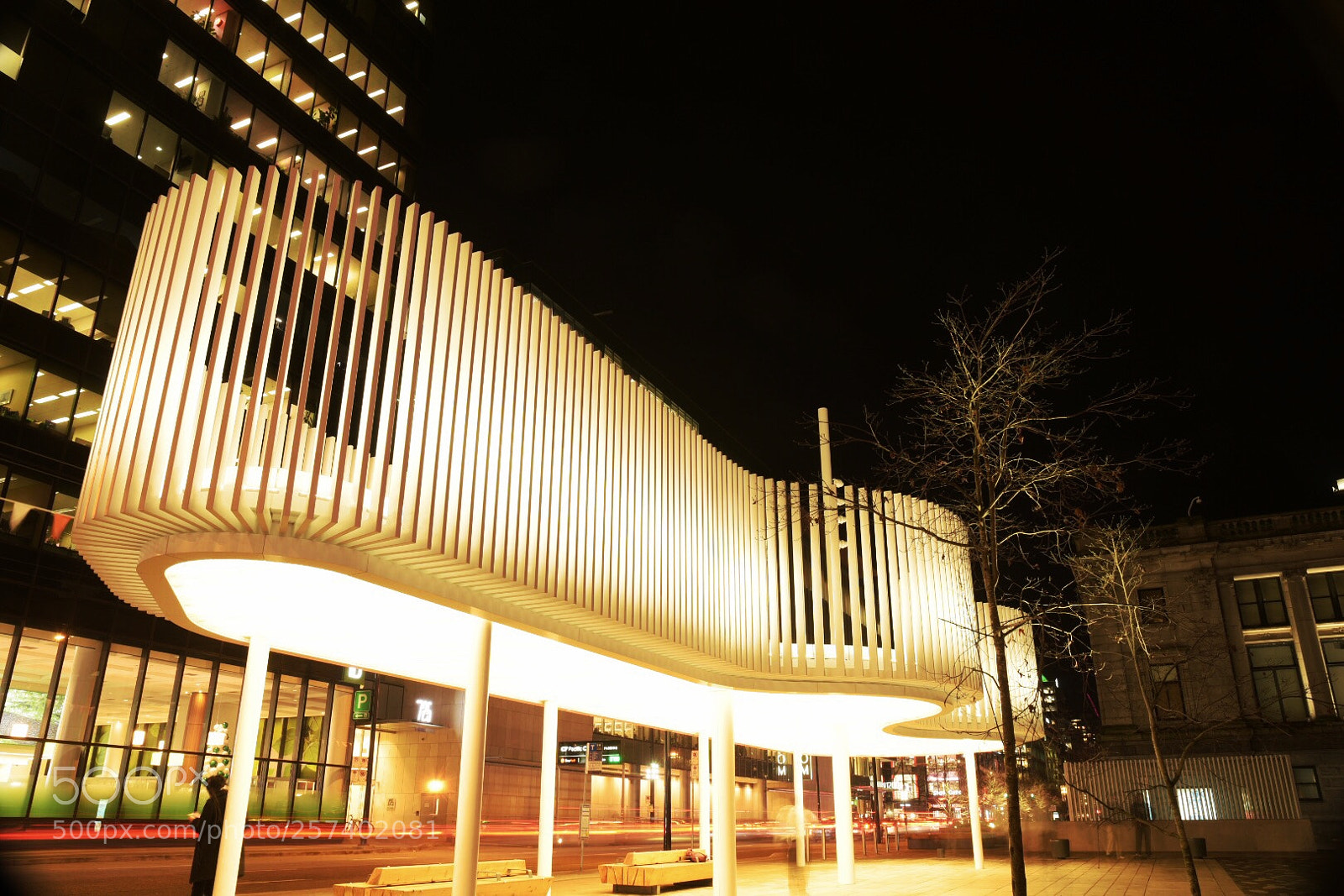 Nikon D750 sample photo. Lonely night photography