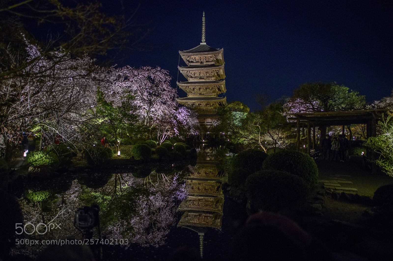 Nikon D850 sample photo. Pagoda 東寺 east temple, kyoto photography