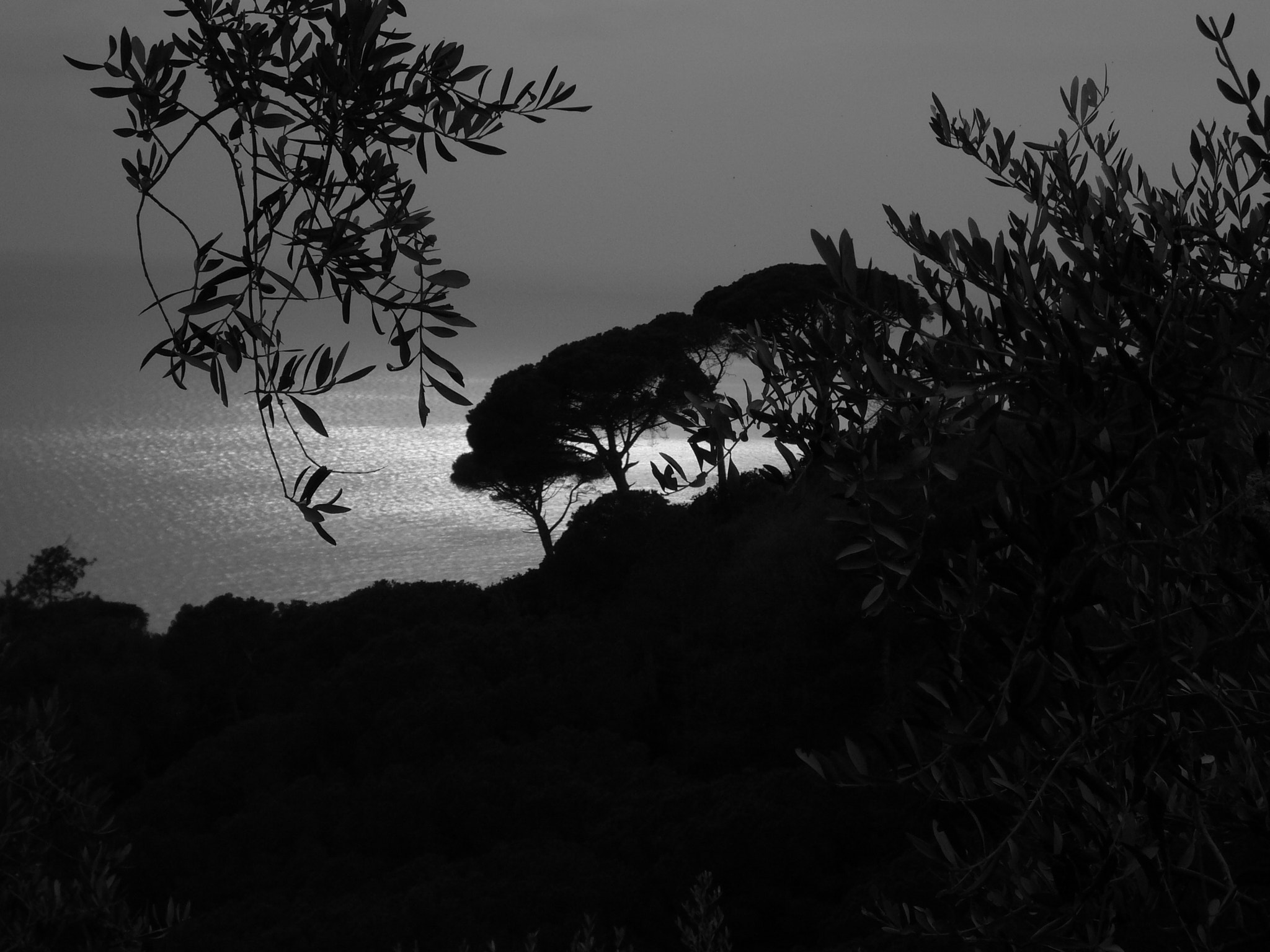 Panasonic DMC-FX01 sample photo. Portofino photography