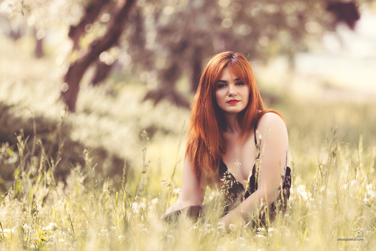 Canon EOS-1D X sample photo. Primavera photography