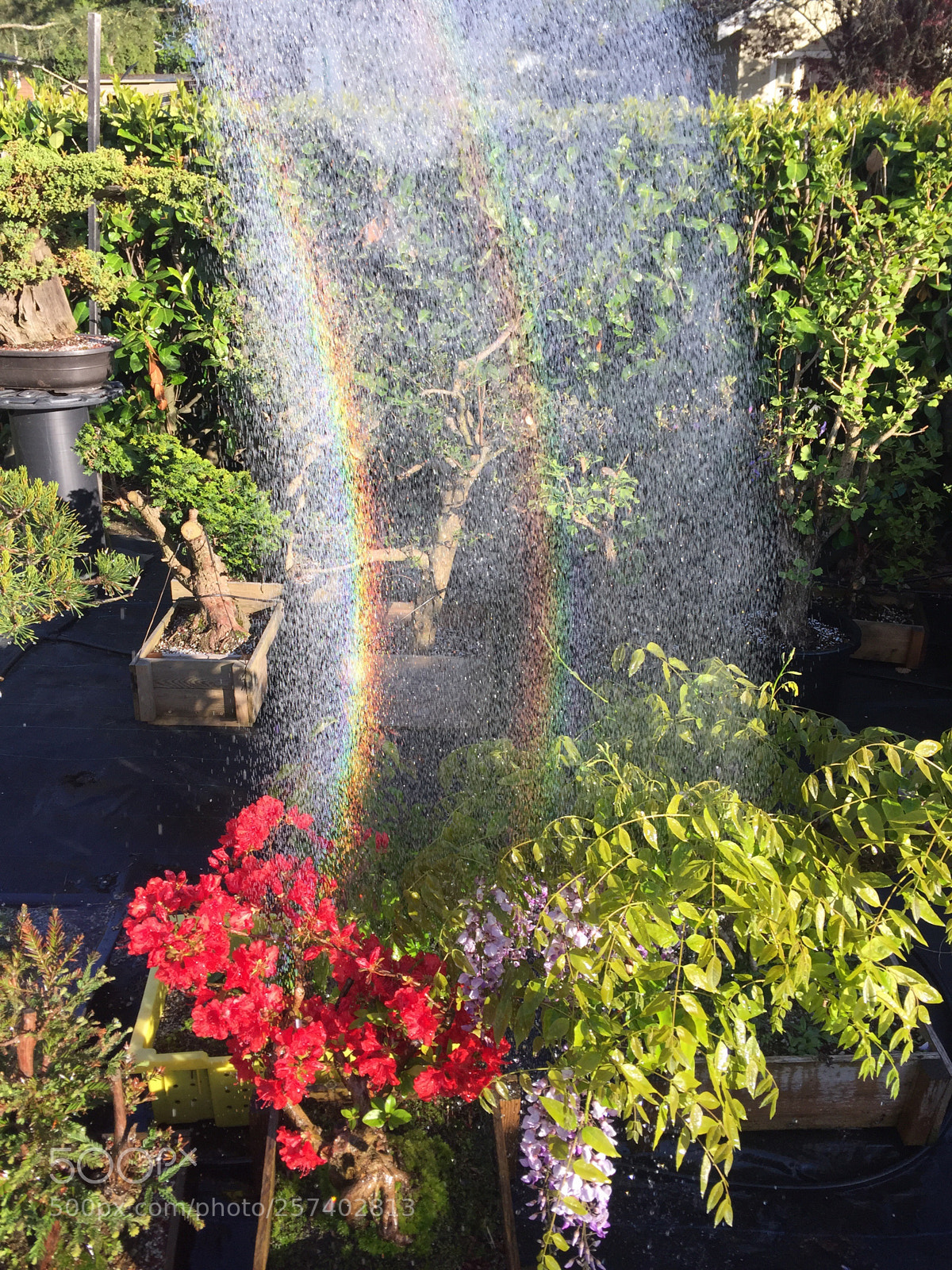 Apple iPhone 6 sample photo. Double rainbow water fall photography
