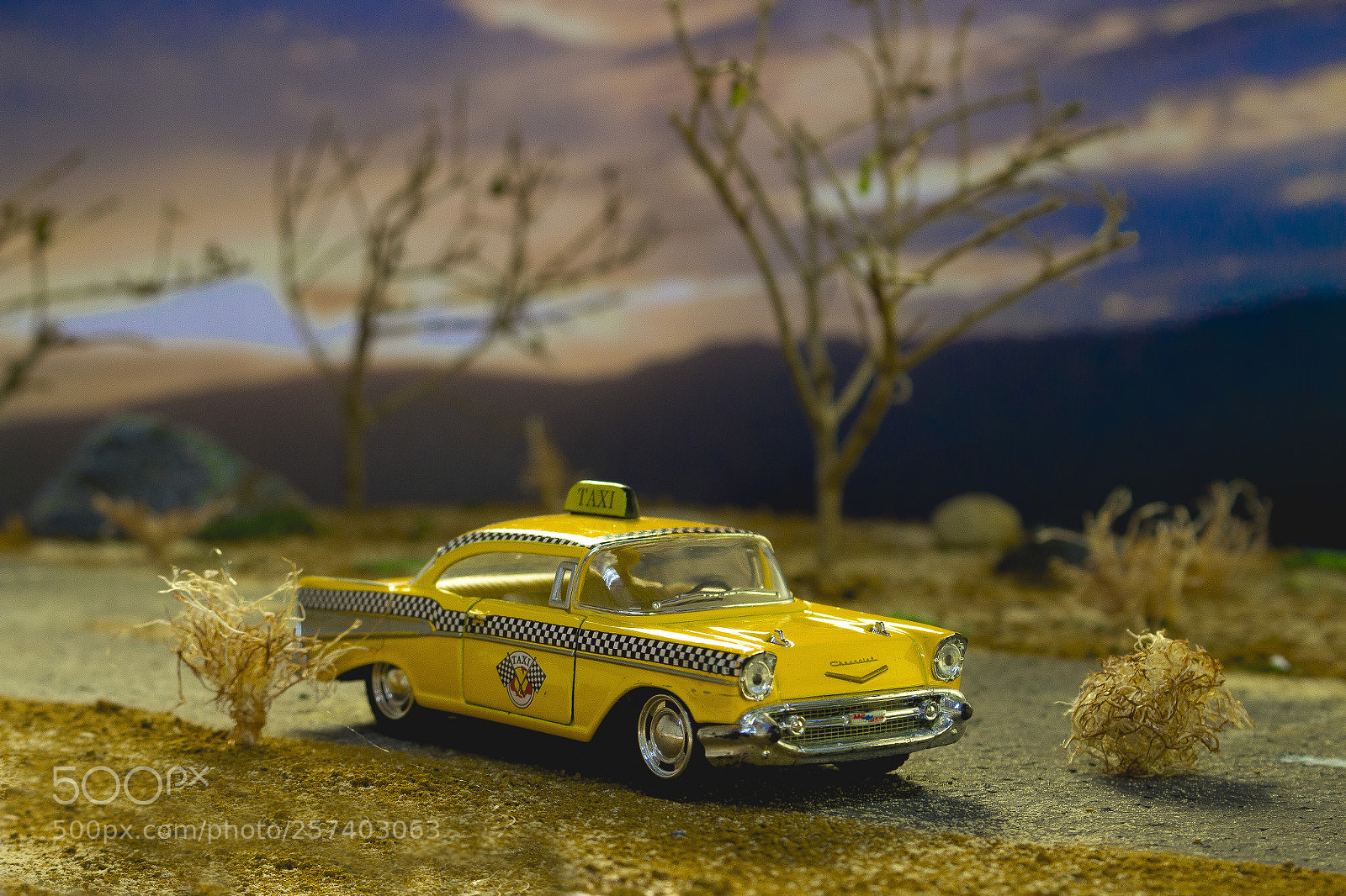 Canon EOS 700D (EOS Rebel T5i / EOS Kiss X7i) sample photo. The afternoon of yellow photography