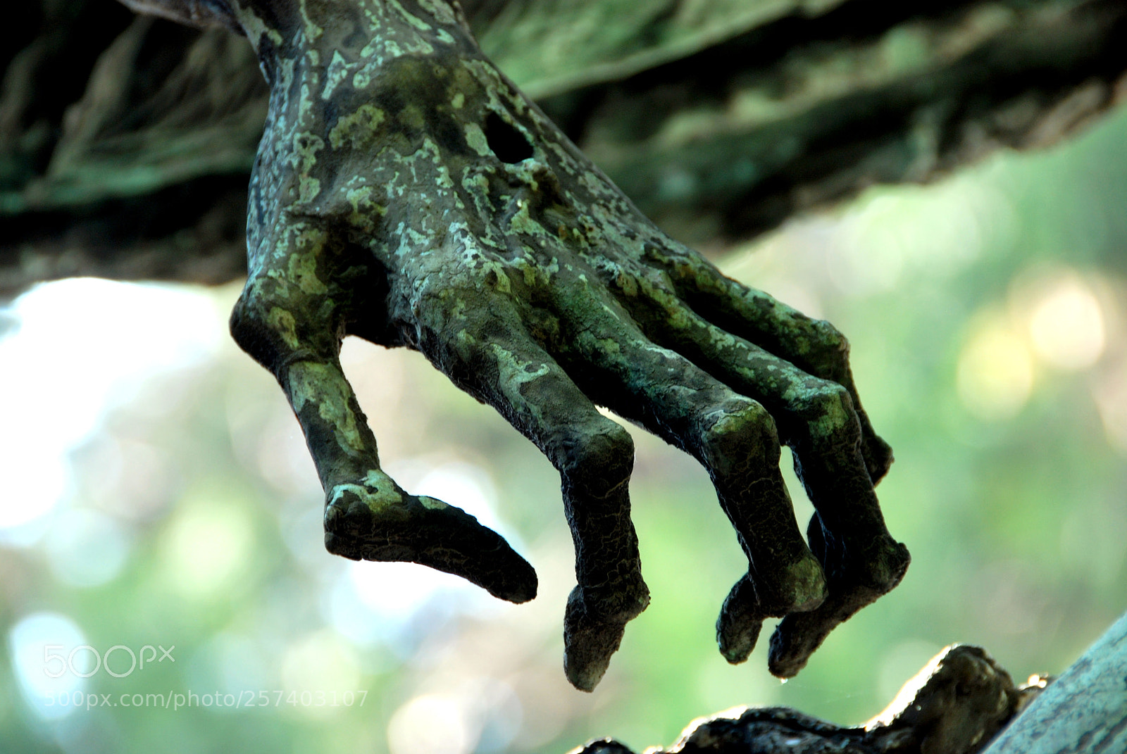 Nikon D80 sample photo. Scary bokeh photography