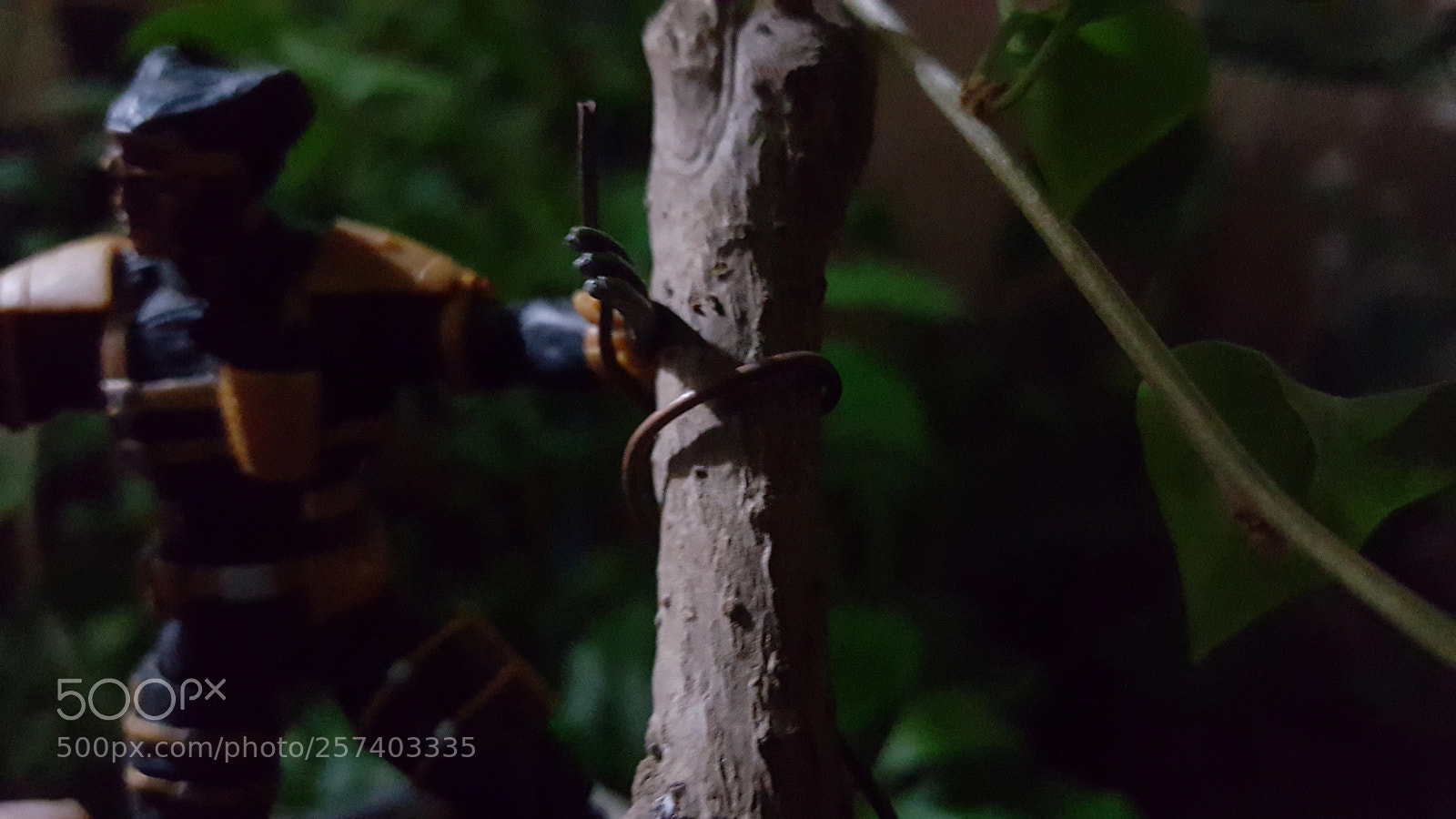 Samsung Galaxy Note5 sample photo. Wolverine say... photography