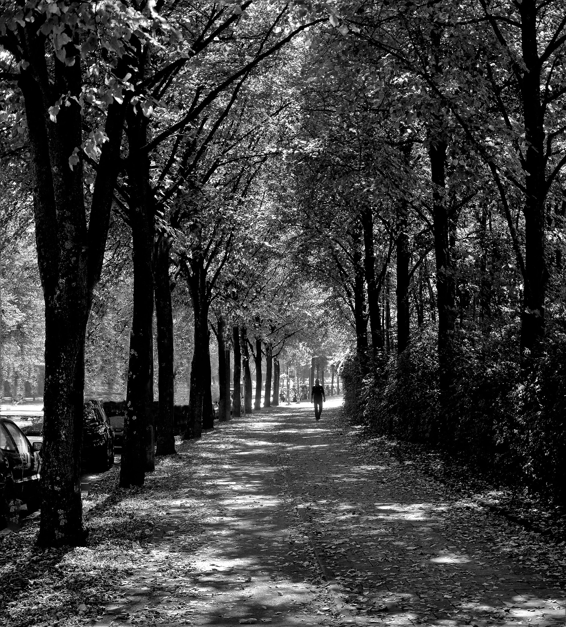 Nikon D7100 sample photo. The walker in the shadow photography