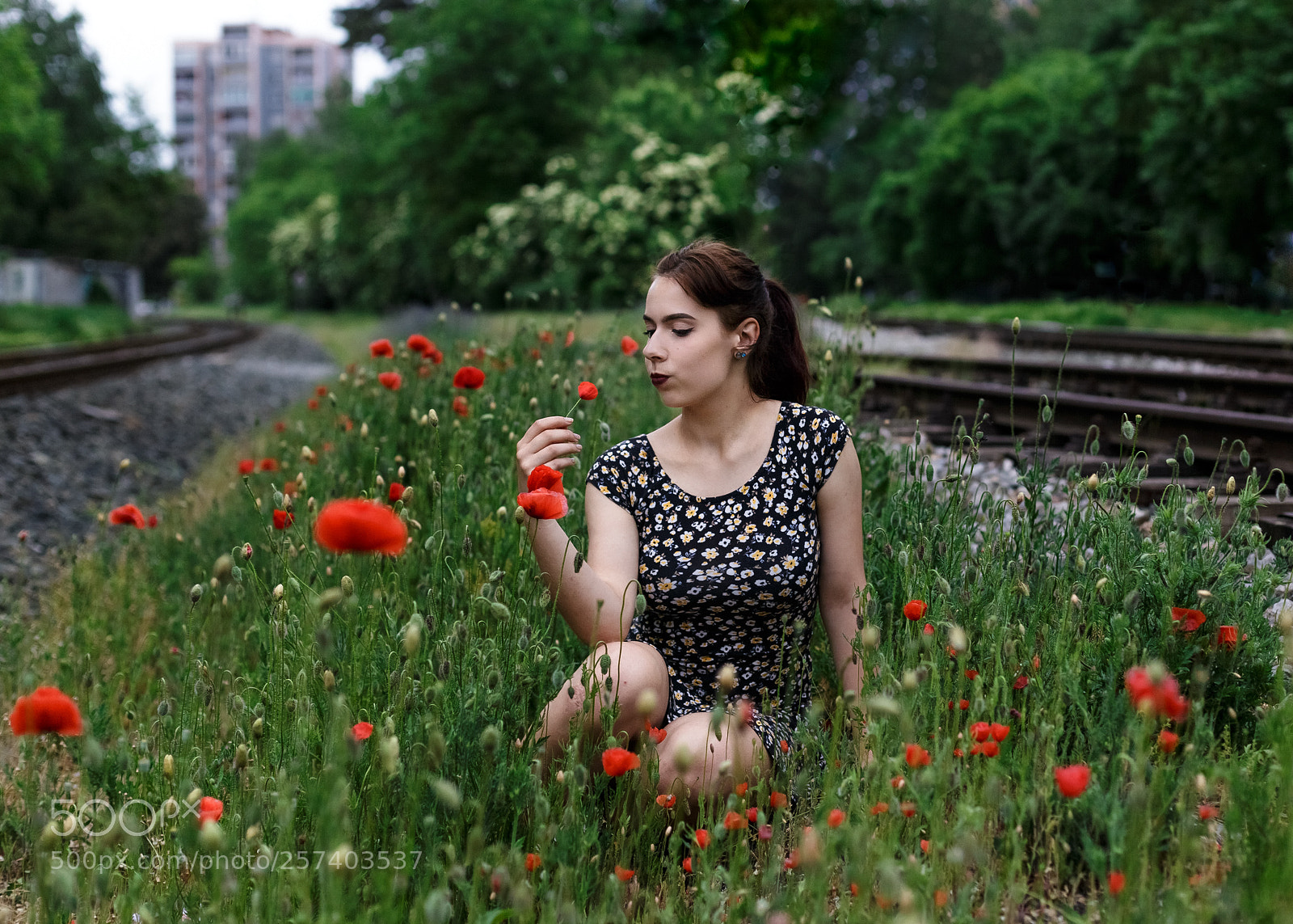 Canon EOS 6D sample photo. Inja photography