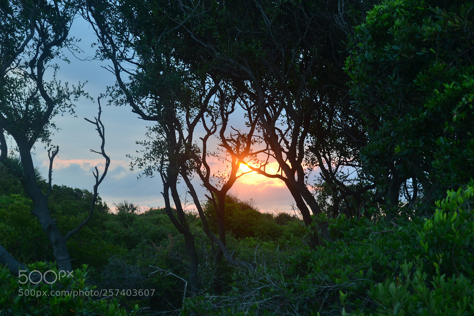 Nikon D3100 sample photo. Sunrise photography