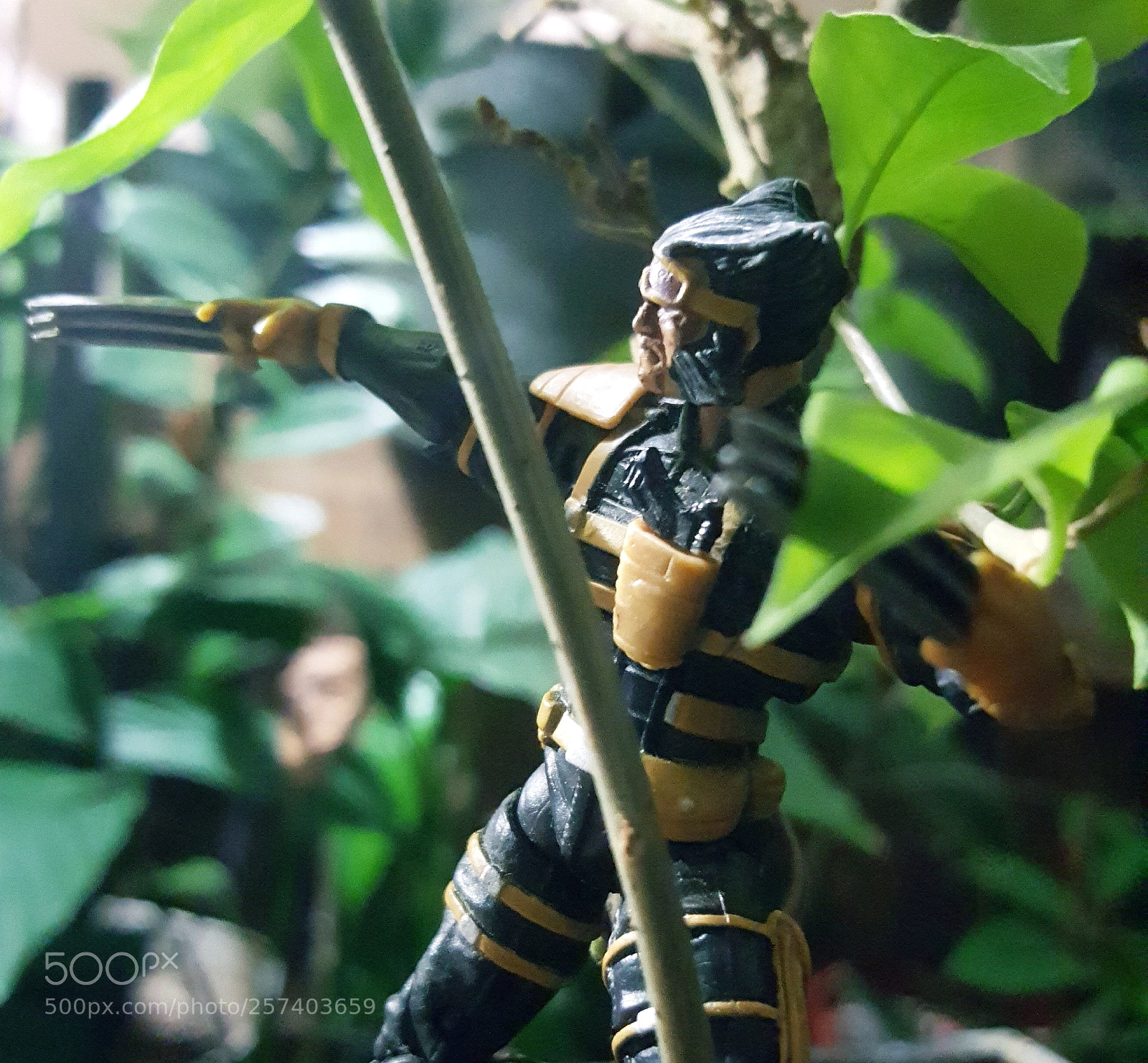 Samsung Galaxy Note5 sample photo. Oh no you discover photography