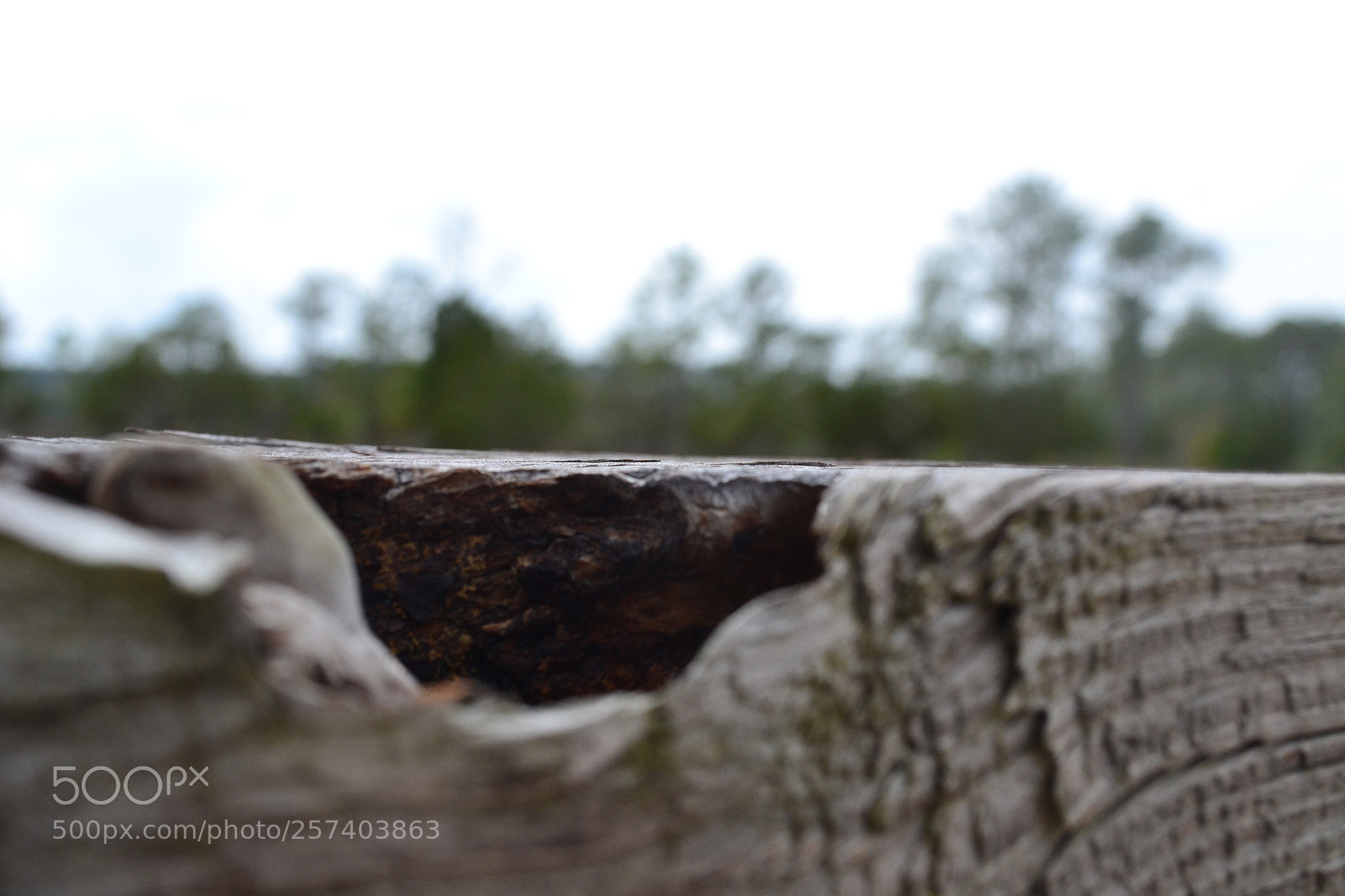 Nikon D3100 sample photo. Mistaken photography