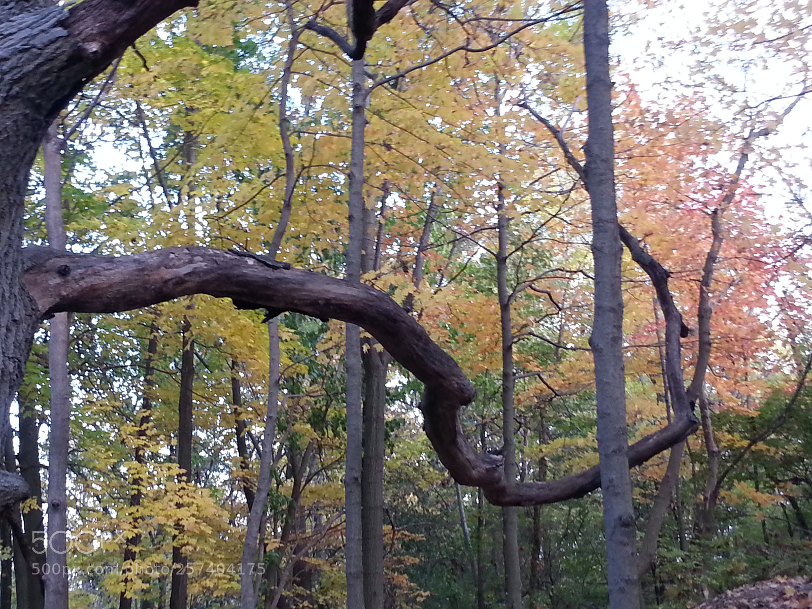 Samsung Galaxy S3 sample photo. 20131026_165049.jpg photography