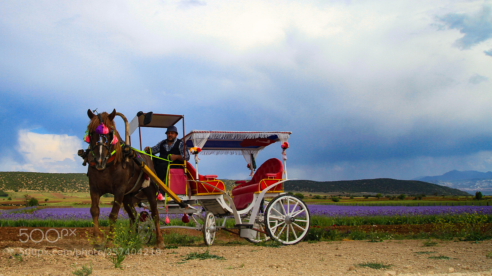 Canon EOS 7D sample photo. Img photography