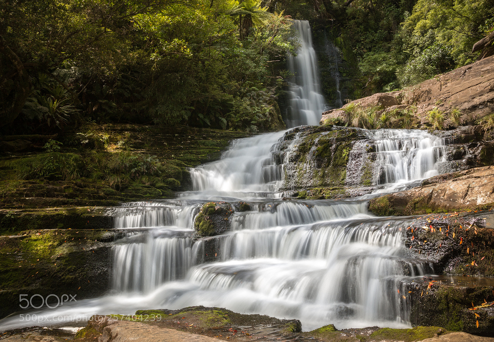 Canon EOS 70D sample photo. Cascade of mclean falls photography