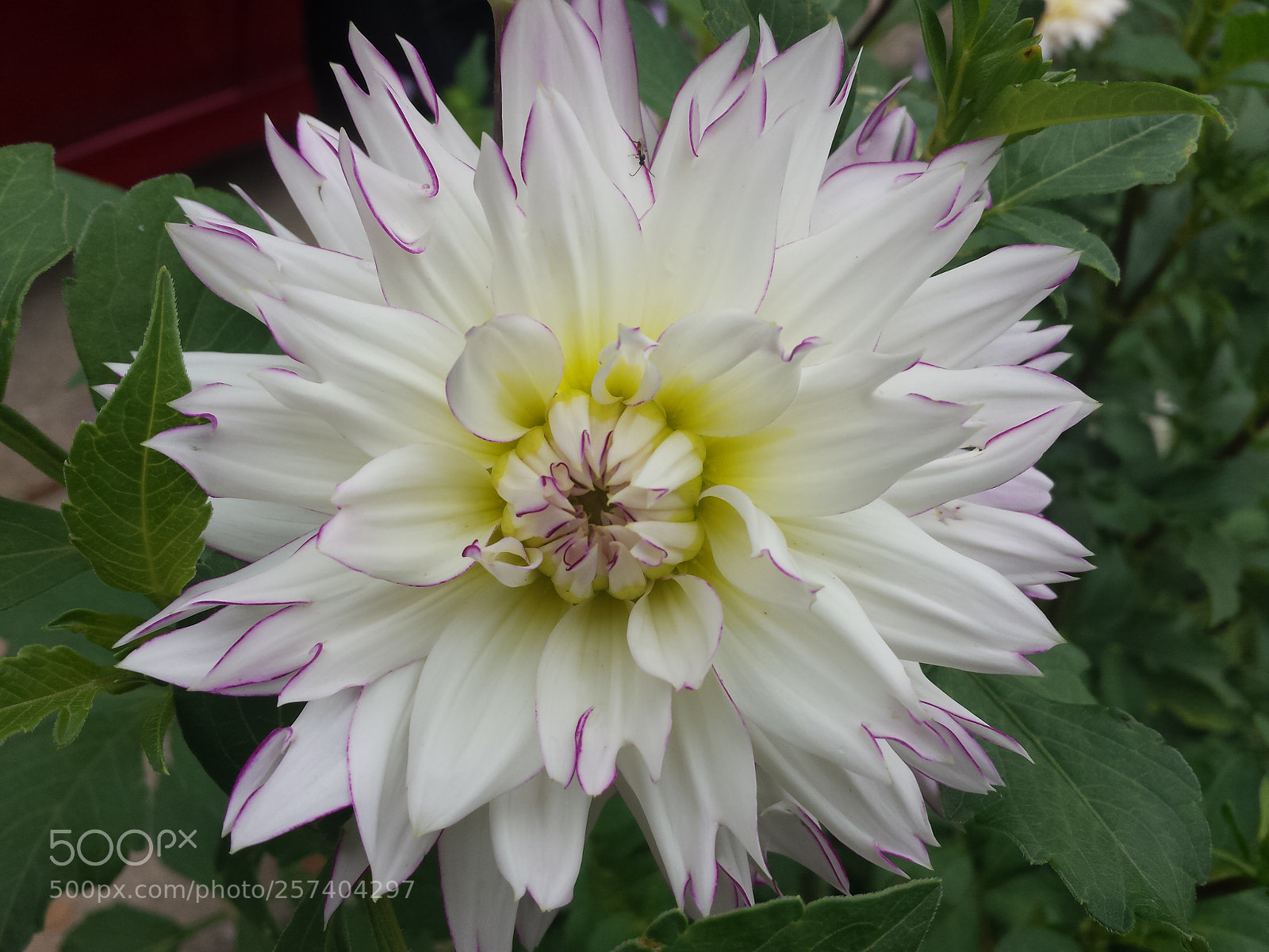 Samsung Galaxy S4 sample photo. 20160922_120650.jpg photography