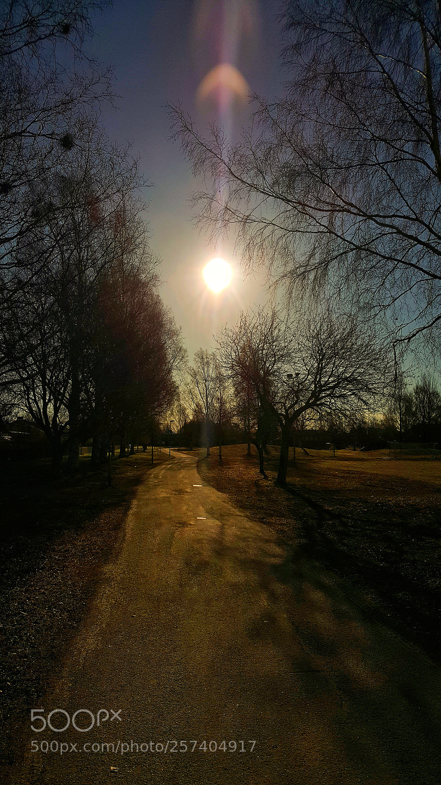 Samsung Galaxy S6 sample photo. In the park photography