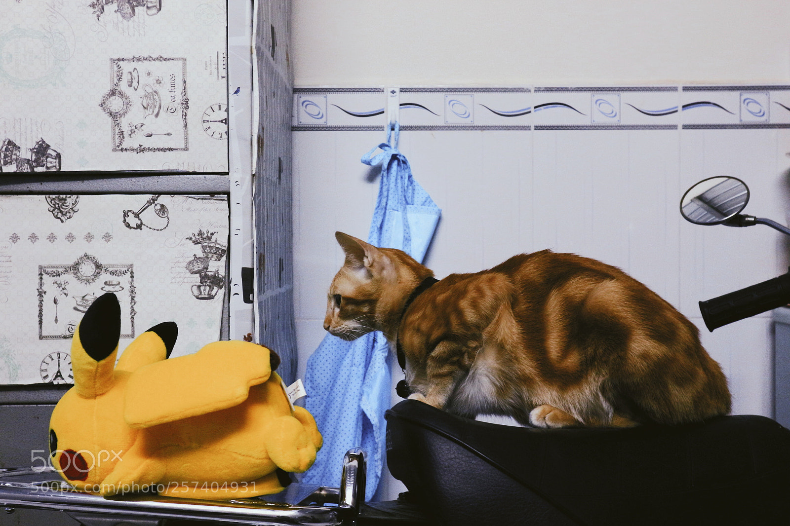 Canon EOS M10 sample photo. Cat and pikachu photography
