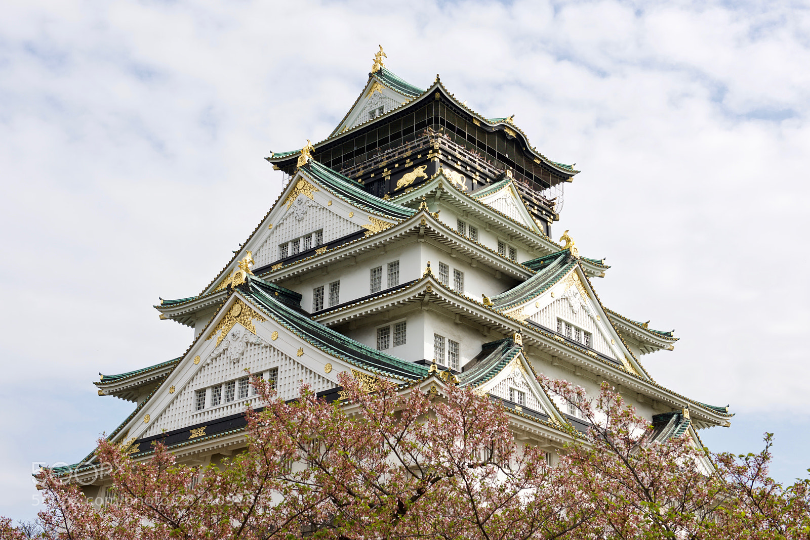 Nikon D810 sample photo. Osaka castle photography