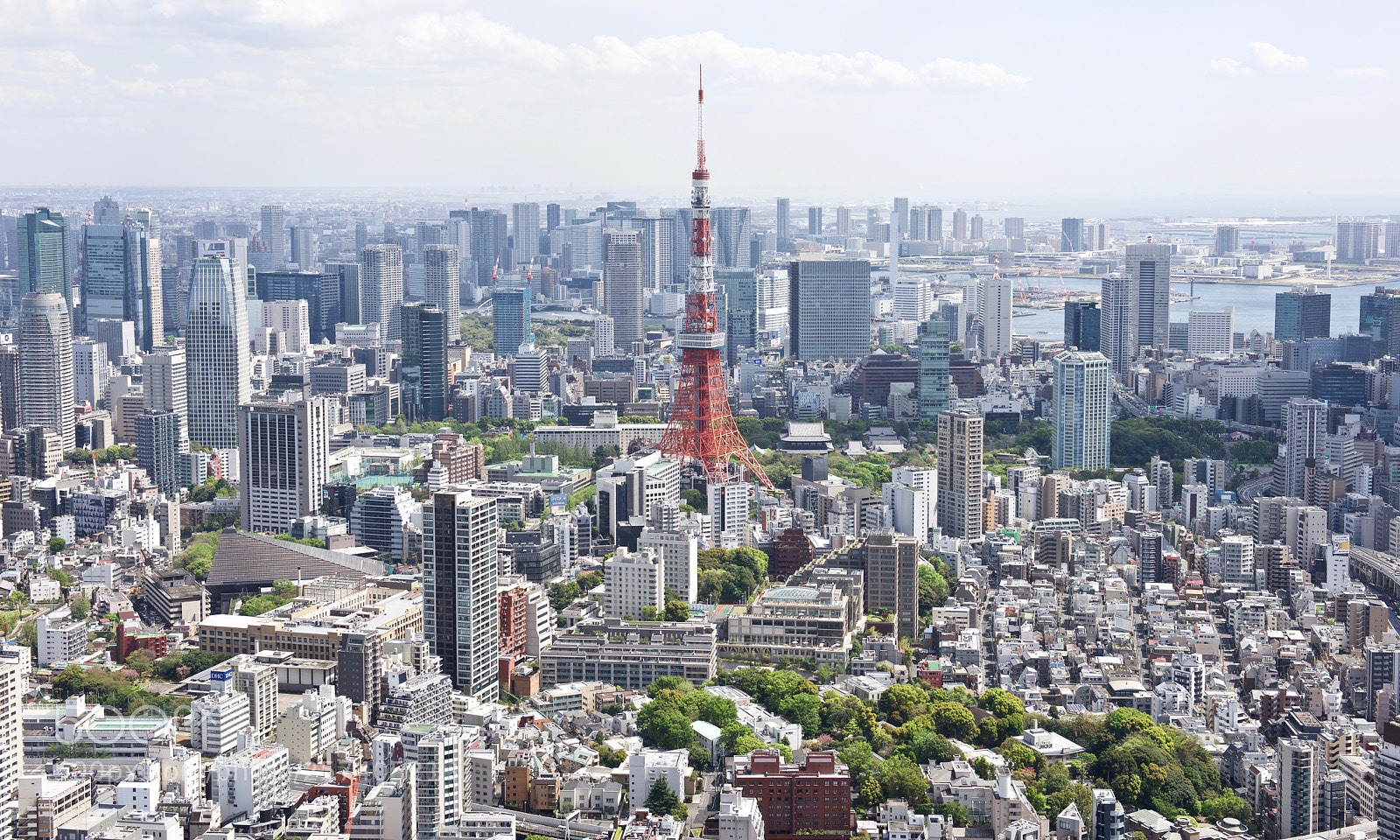 Nikon D810 sample photo. Tokyo tower photography