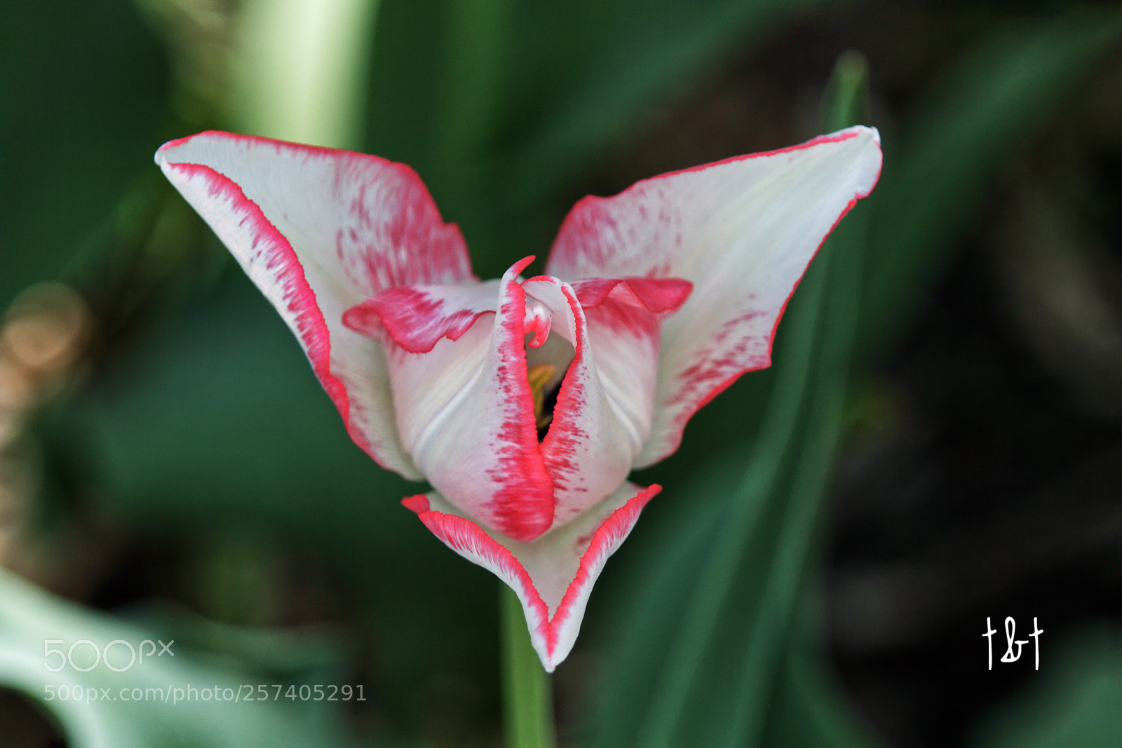 Canon EOS 7D sample photo. Untitled photography