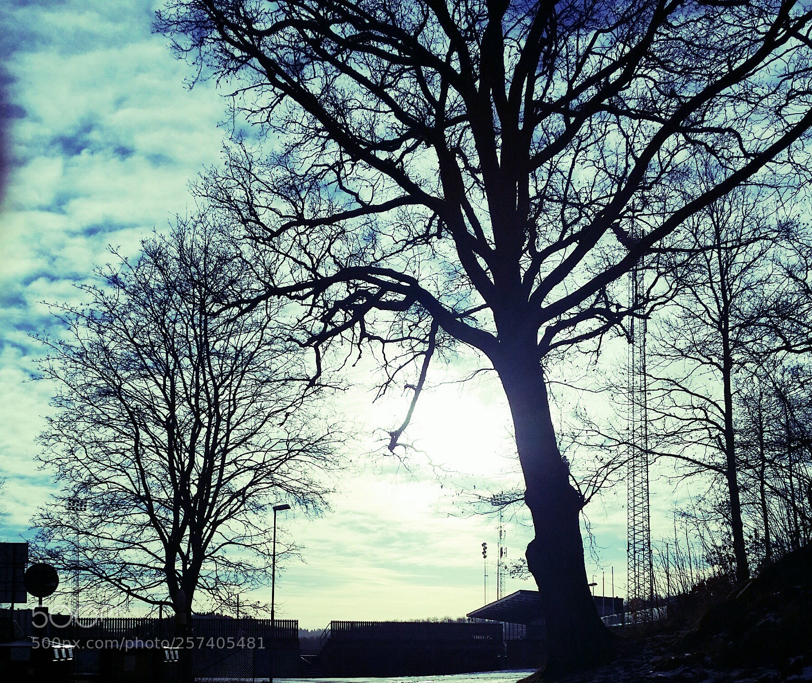 Samsung Galaxy S4 sample photo. Untitled photography